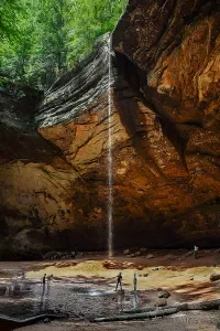 Nature's Playground - Riley