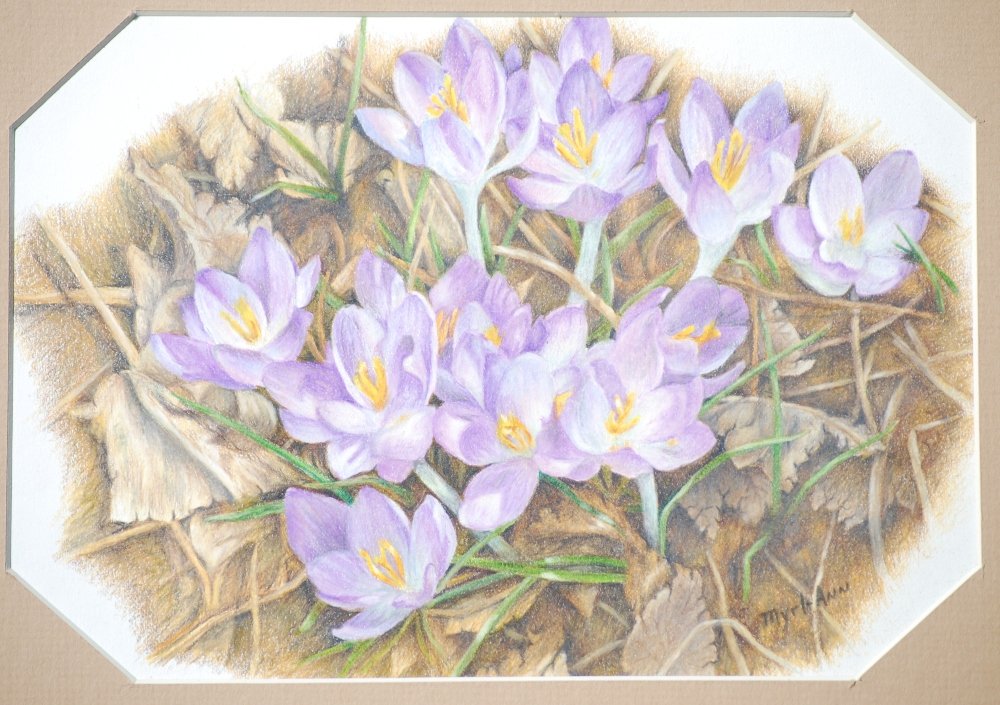 Signs of Spring - Ransom