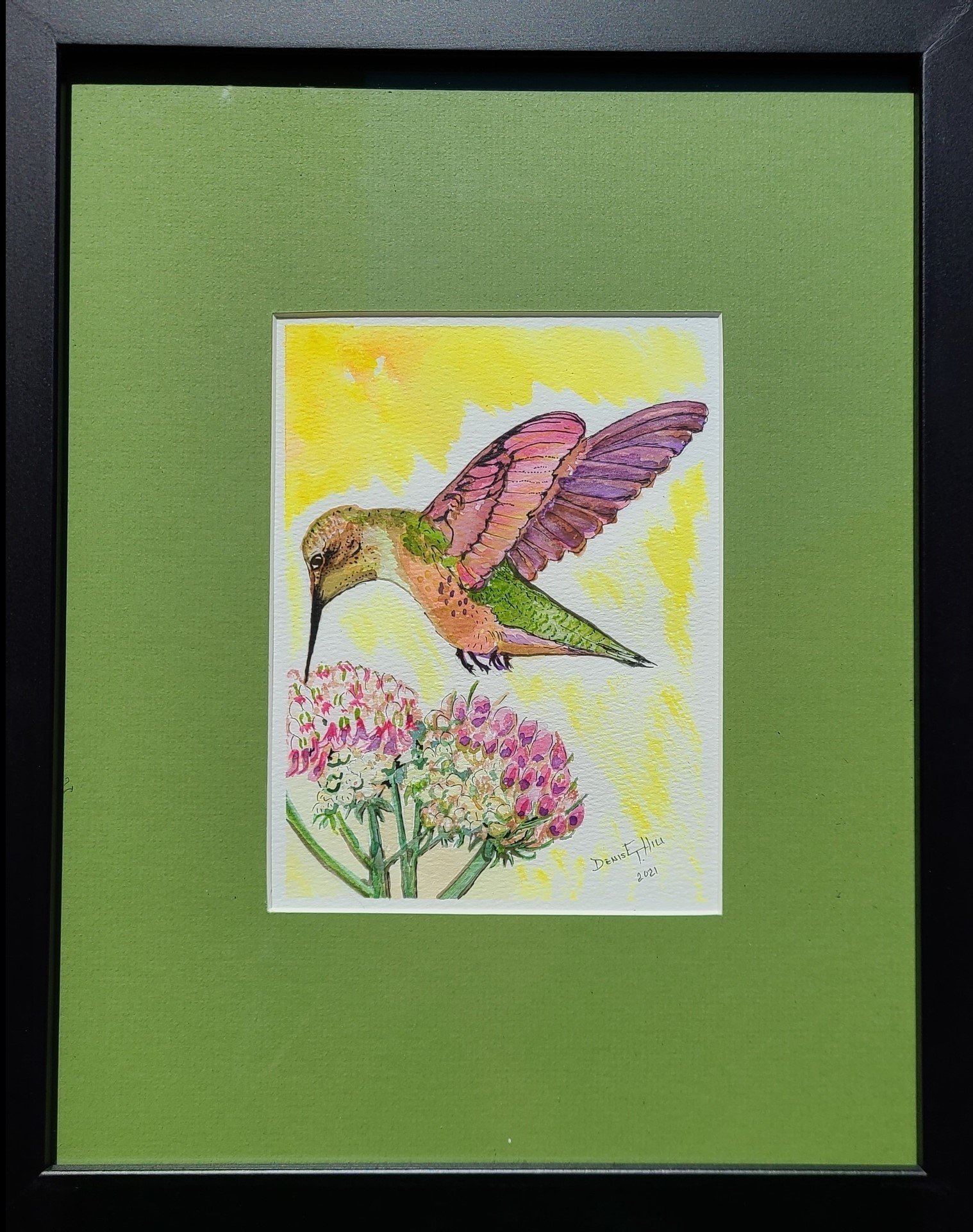 Hummingbird and Milkweed - Hill