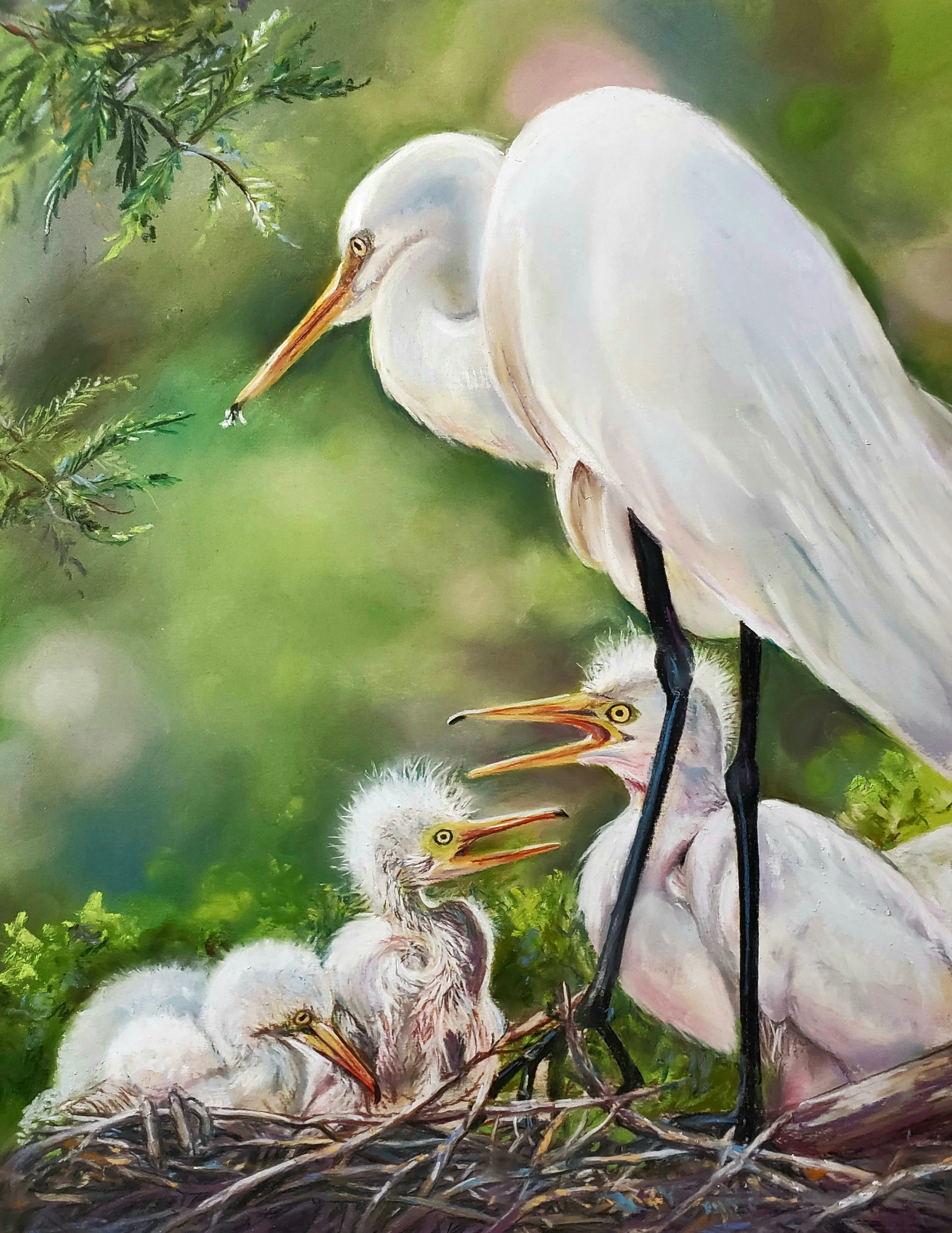 Feeding Her Hatchlings - Blevins