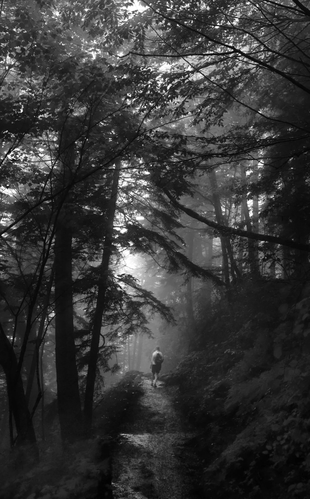 Into The Woods - Grimm