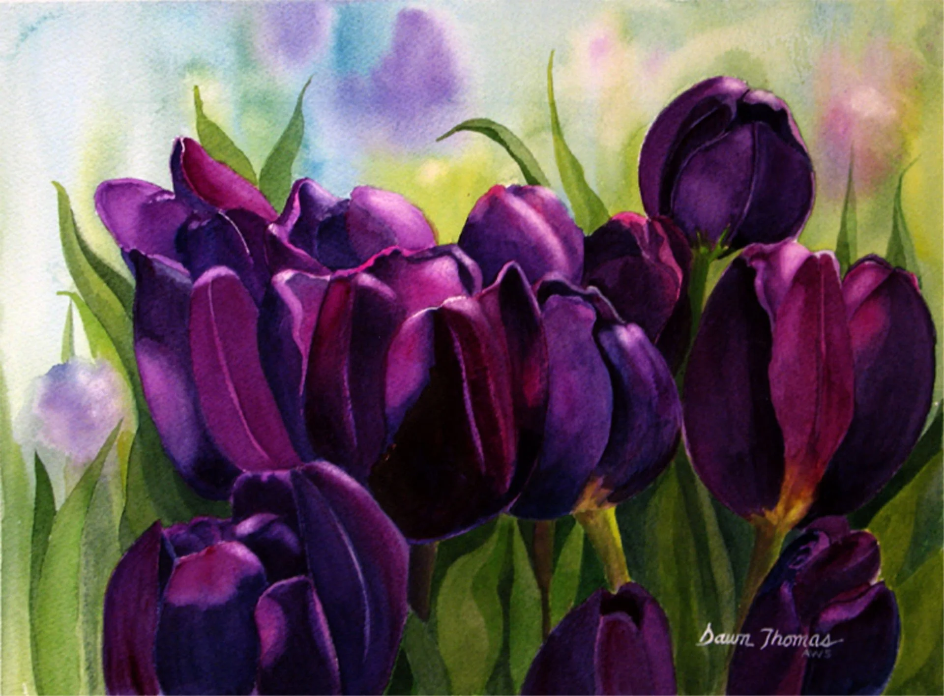 Dawn Thomas