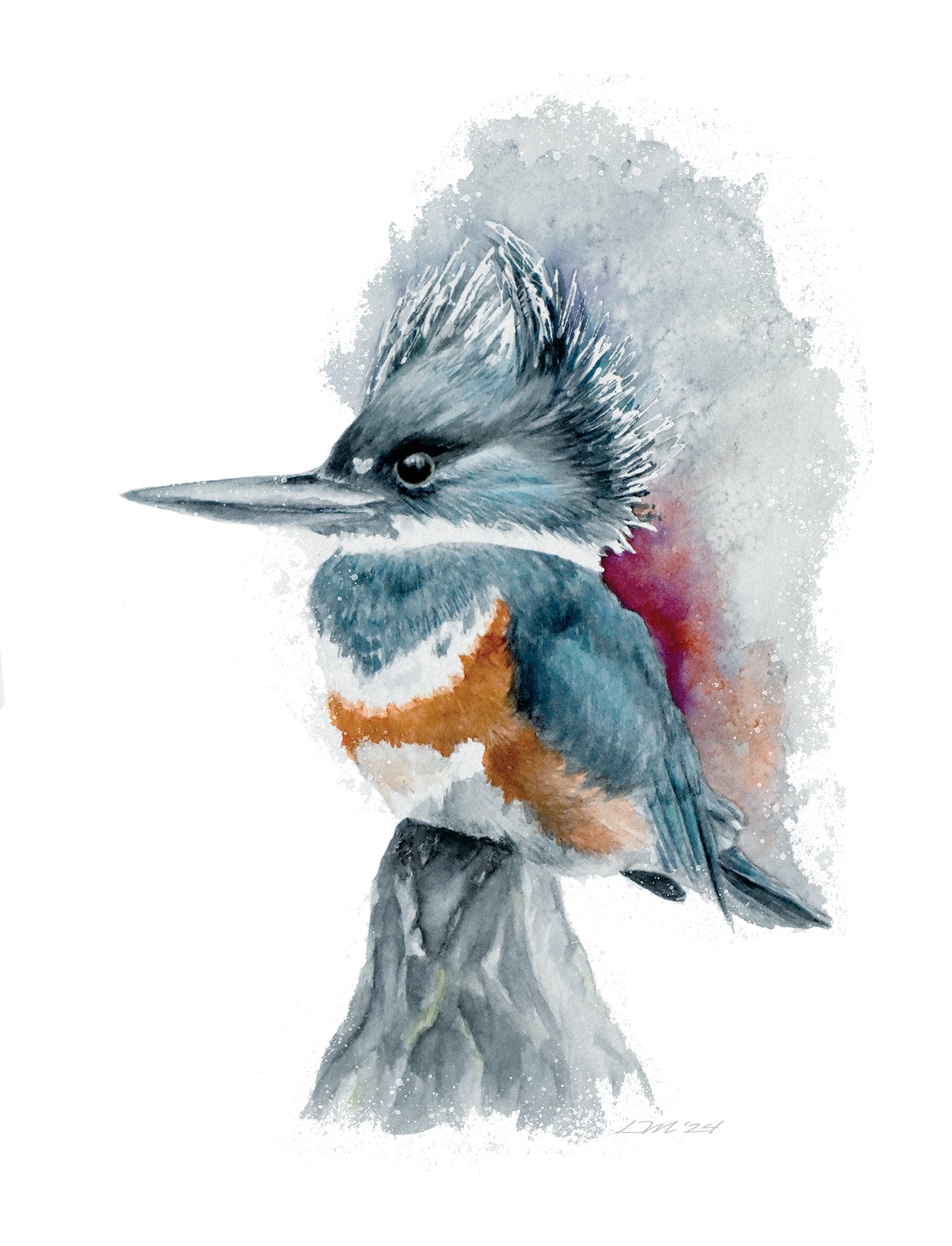 Kingfisher
