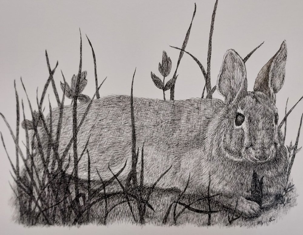 Break with a Snack - Ransom