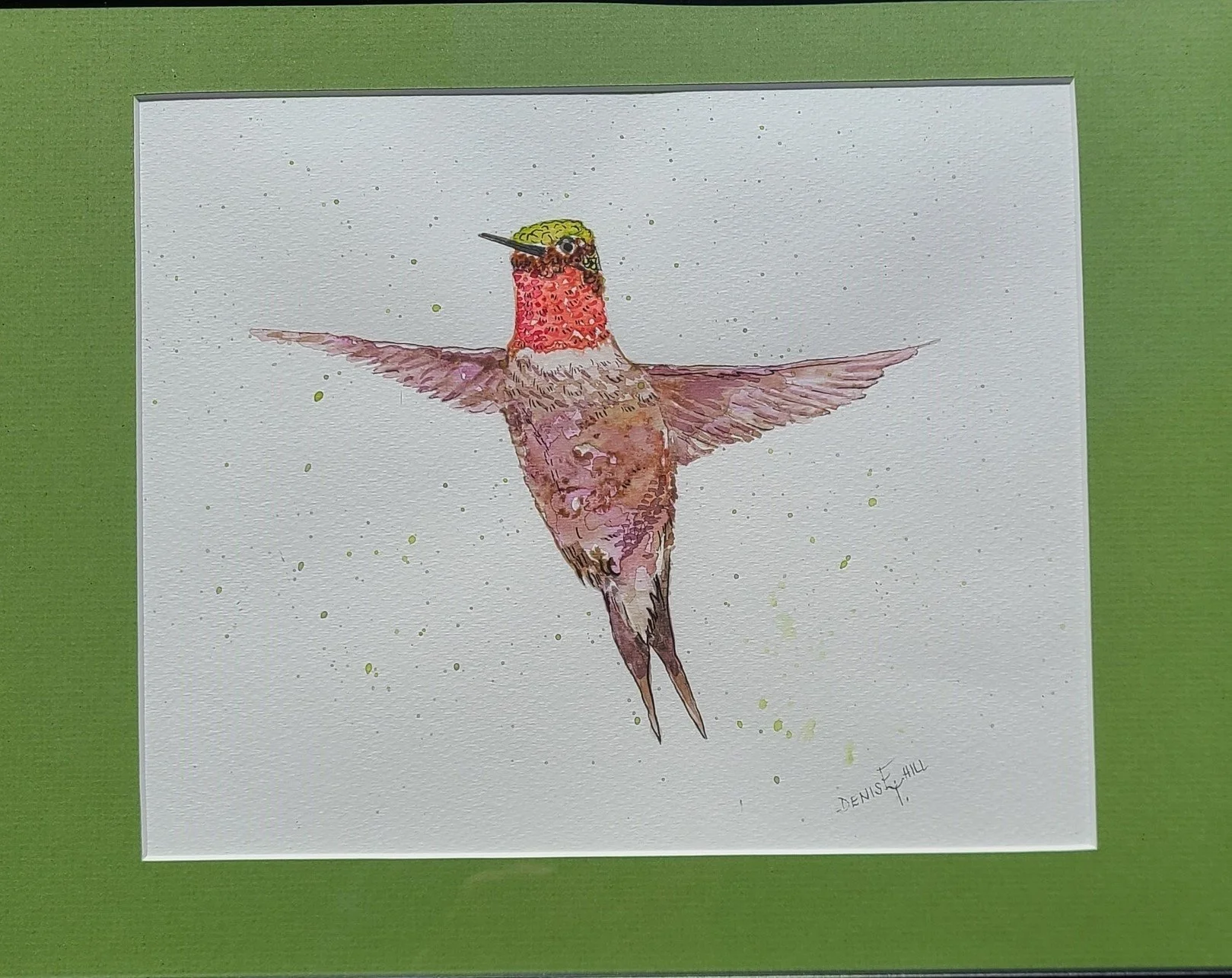 Hummingbird Solo Surprise - Hill