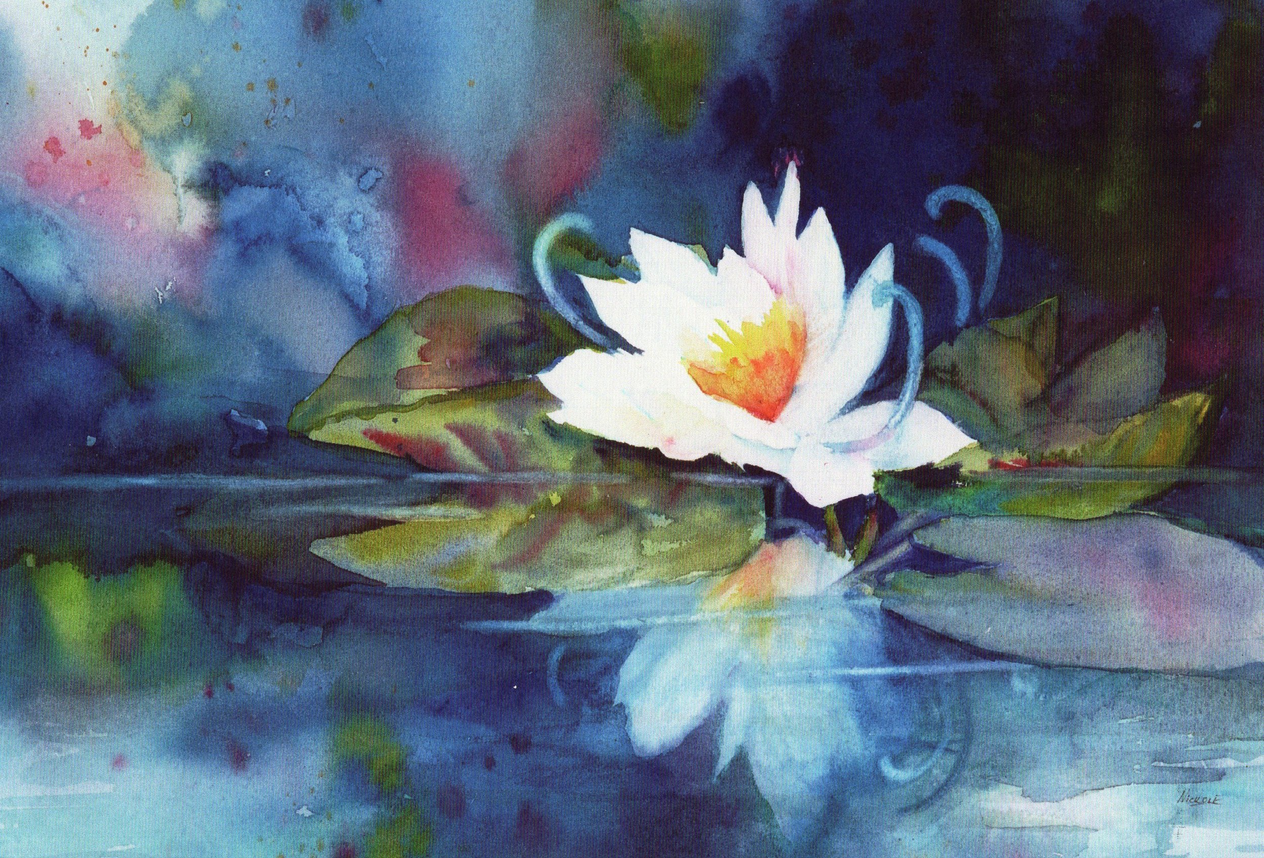 Waterlily Magic - Hayden