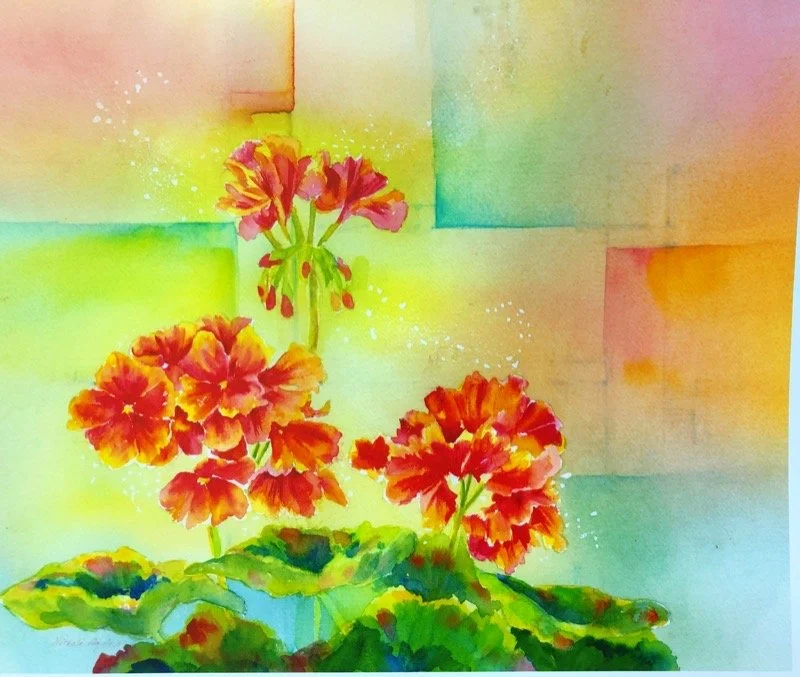 Geranium Squared - Hayden