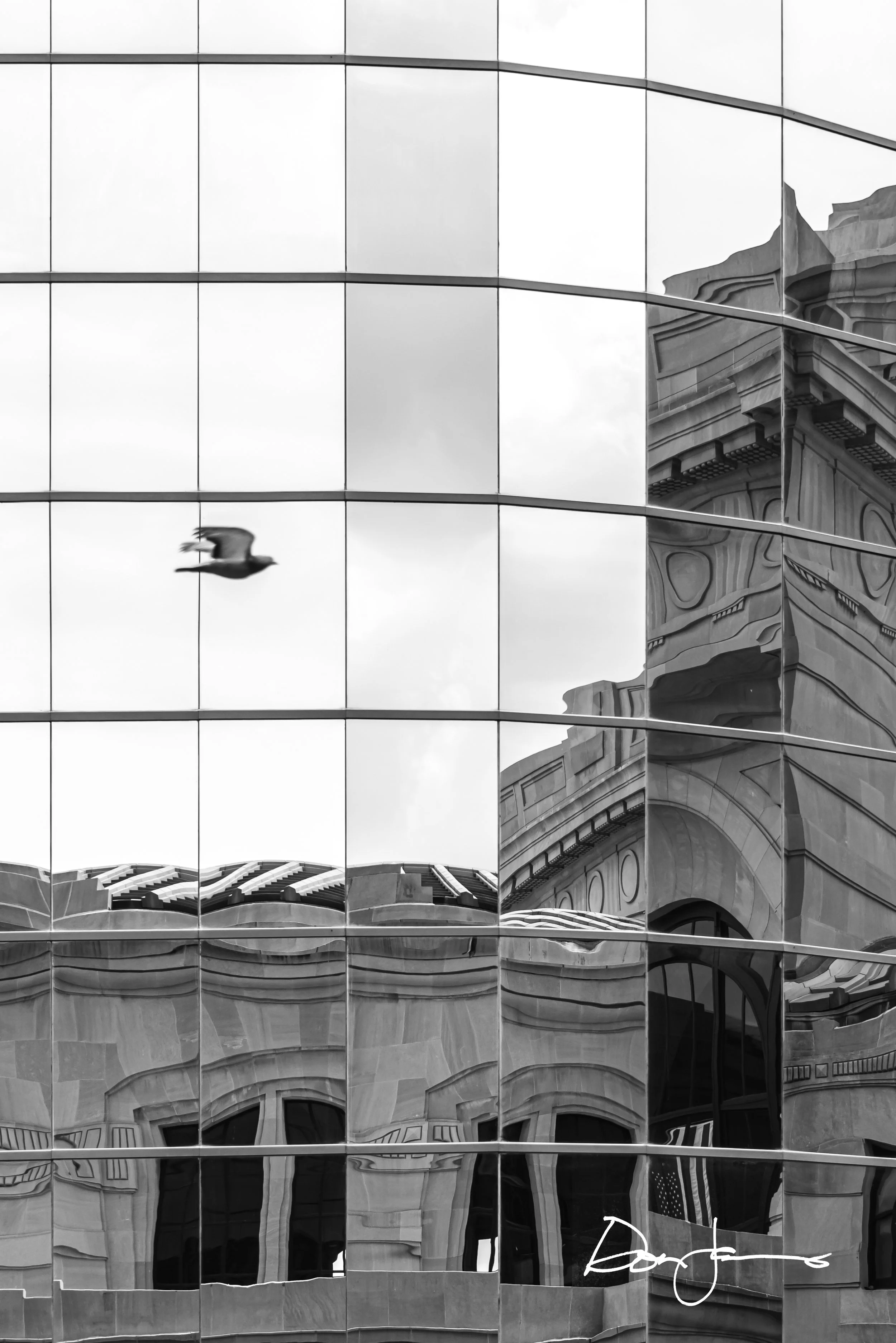 Fractured Flight - James