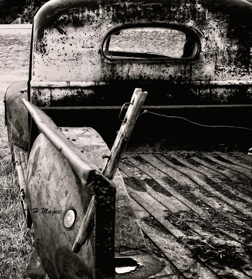 Magee - DSC_1068.jpg