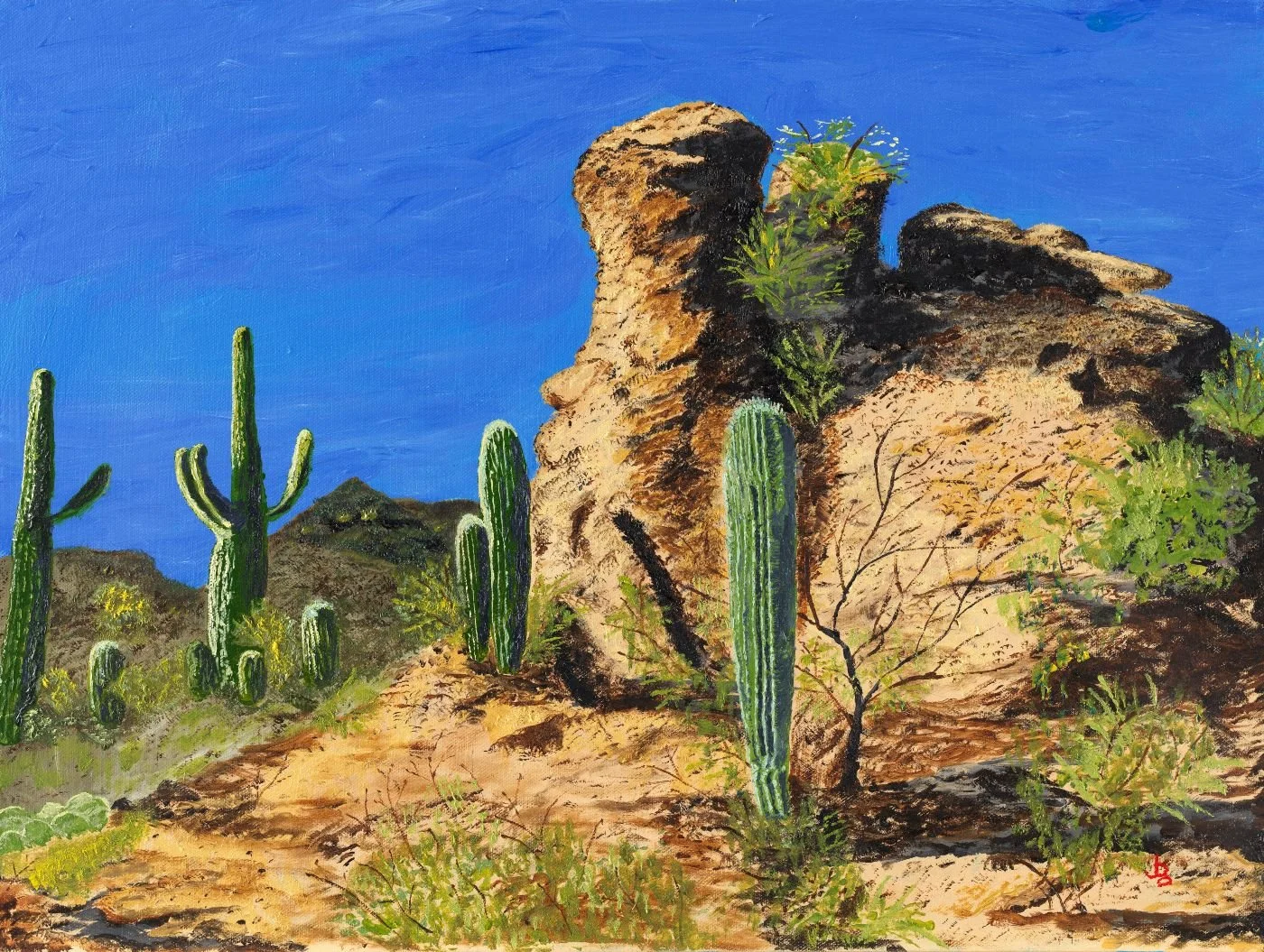 Sonoran Beauty - Gentleman