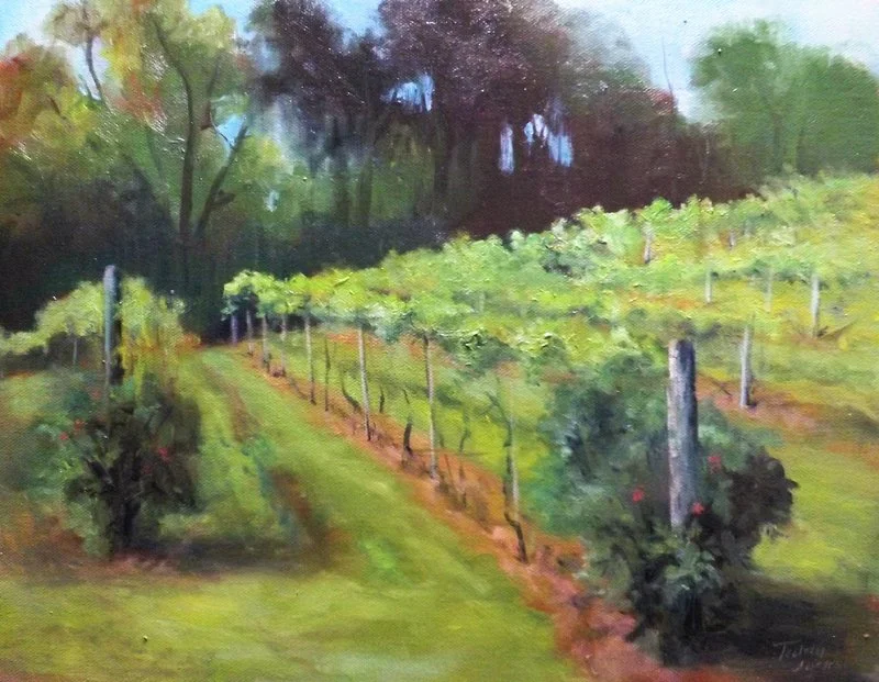 Vineyard in Spring - Jackson