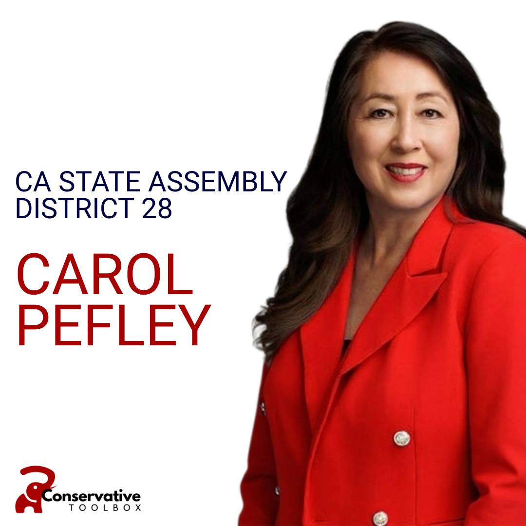 Carol Pefley for State Assembly District 28.png