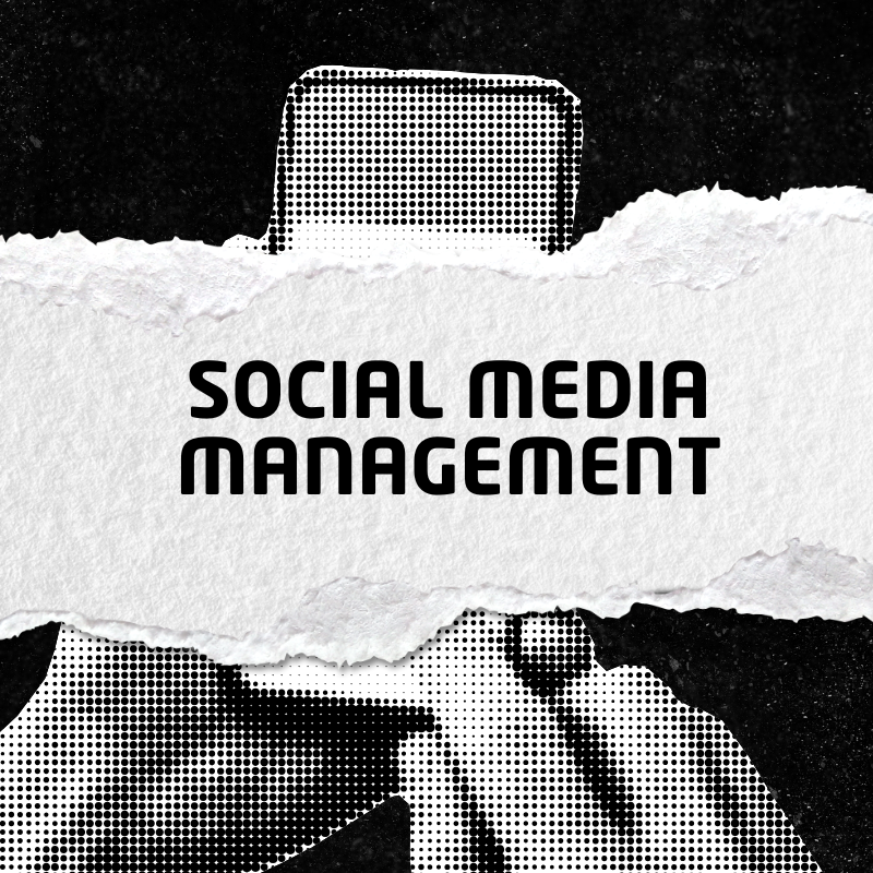 Social Media Management (8 Posts/Month)