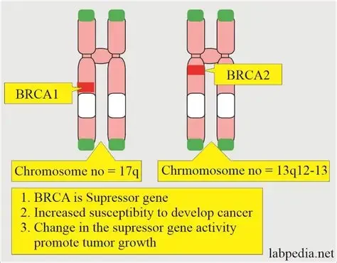 My BRCA2 Diagnosis: Genetic Testing, Double Mastectomy, and Choosing Prevention
