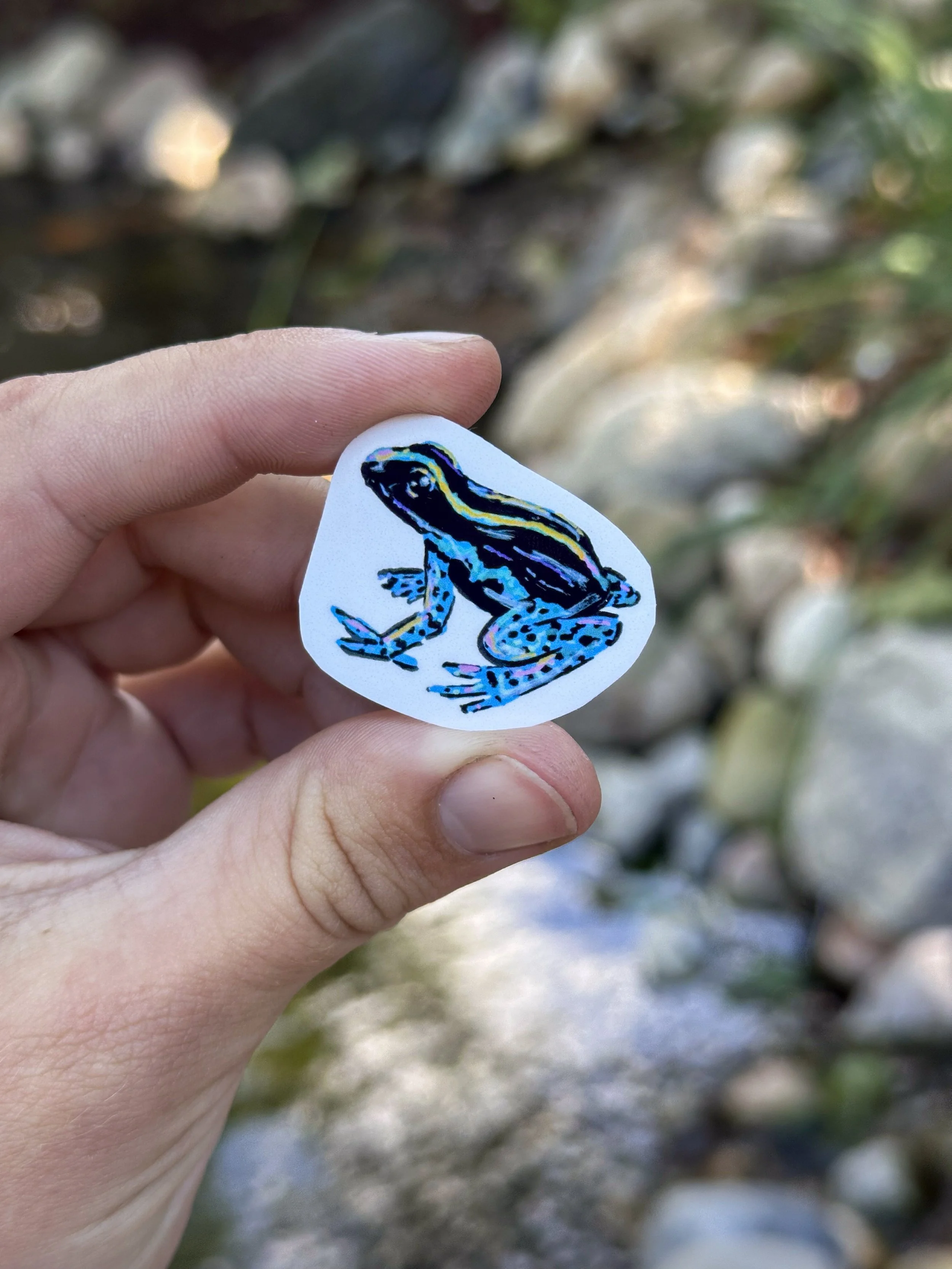 Small Blue Dart Frog Stickers 1.jpg