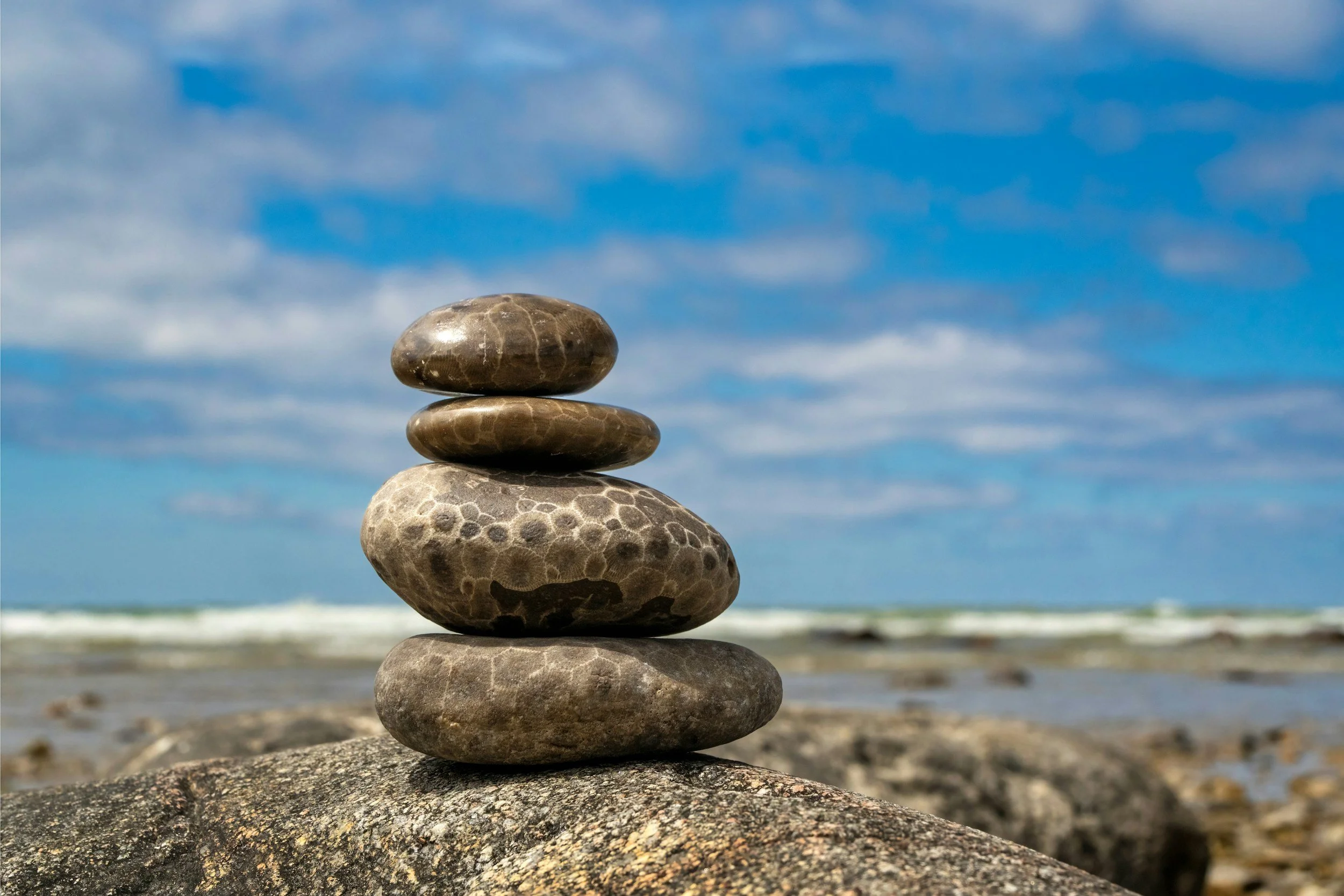 What is a Petoskey Stone? (Michigan’s Coolest Fossil)