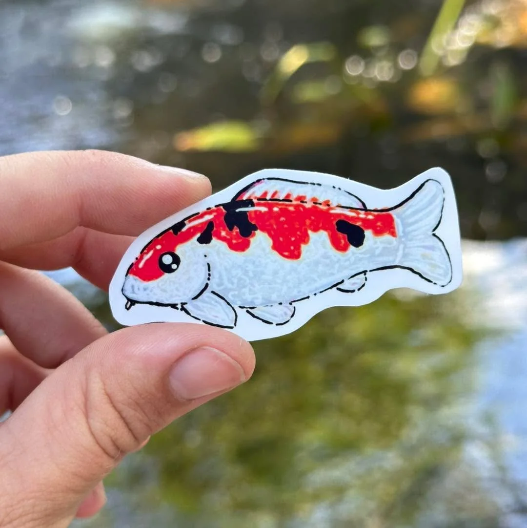 Which koi are you choosing for your pond (water bottle)?