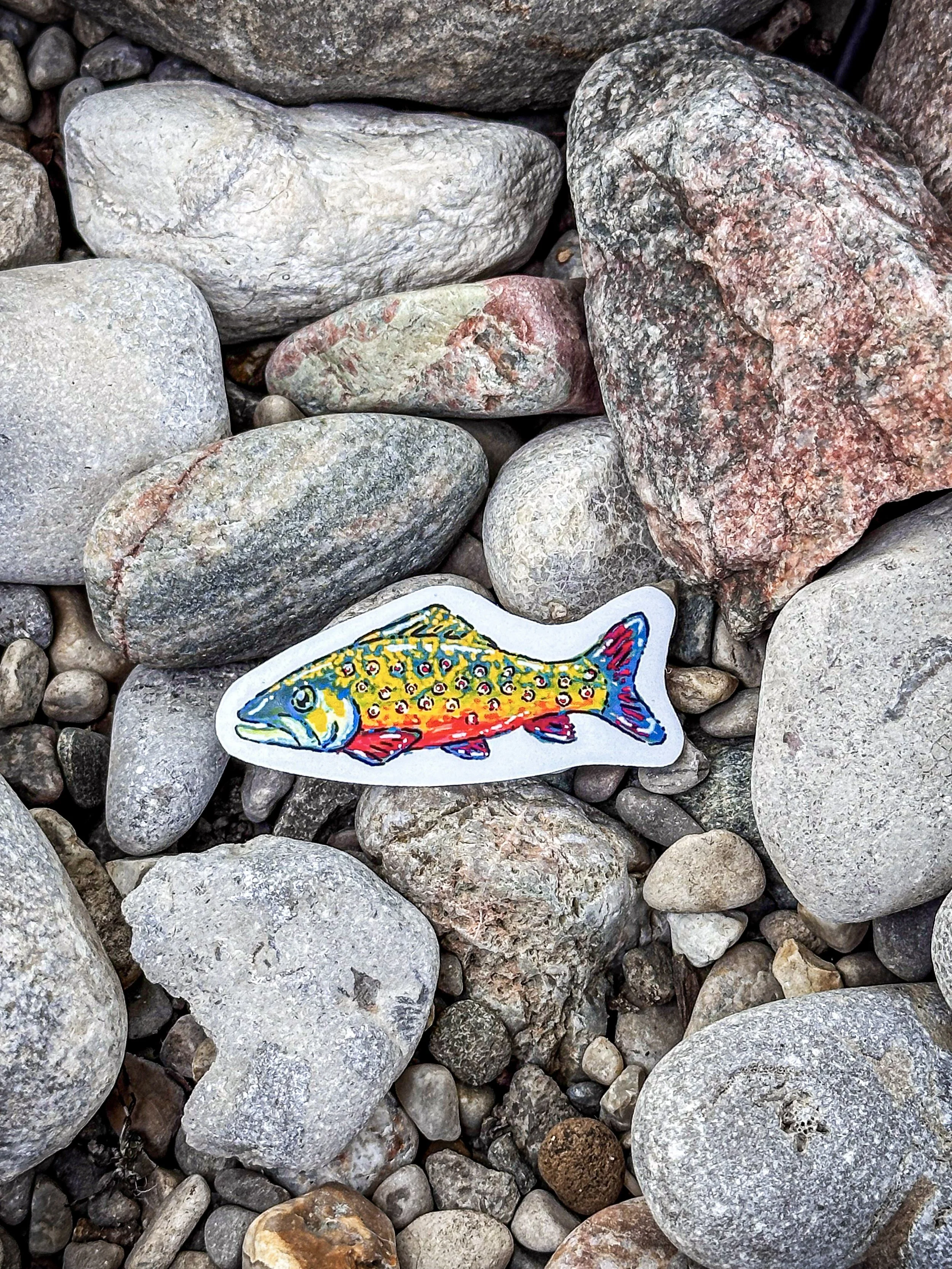 Small Rainbow Trout Stickers 2.jpg
