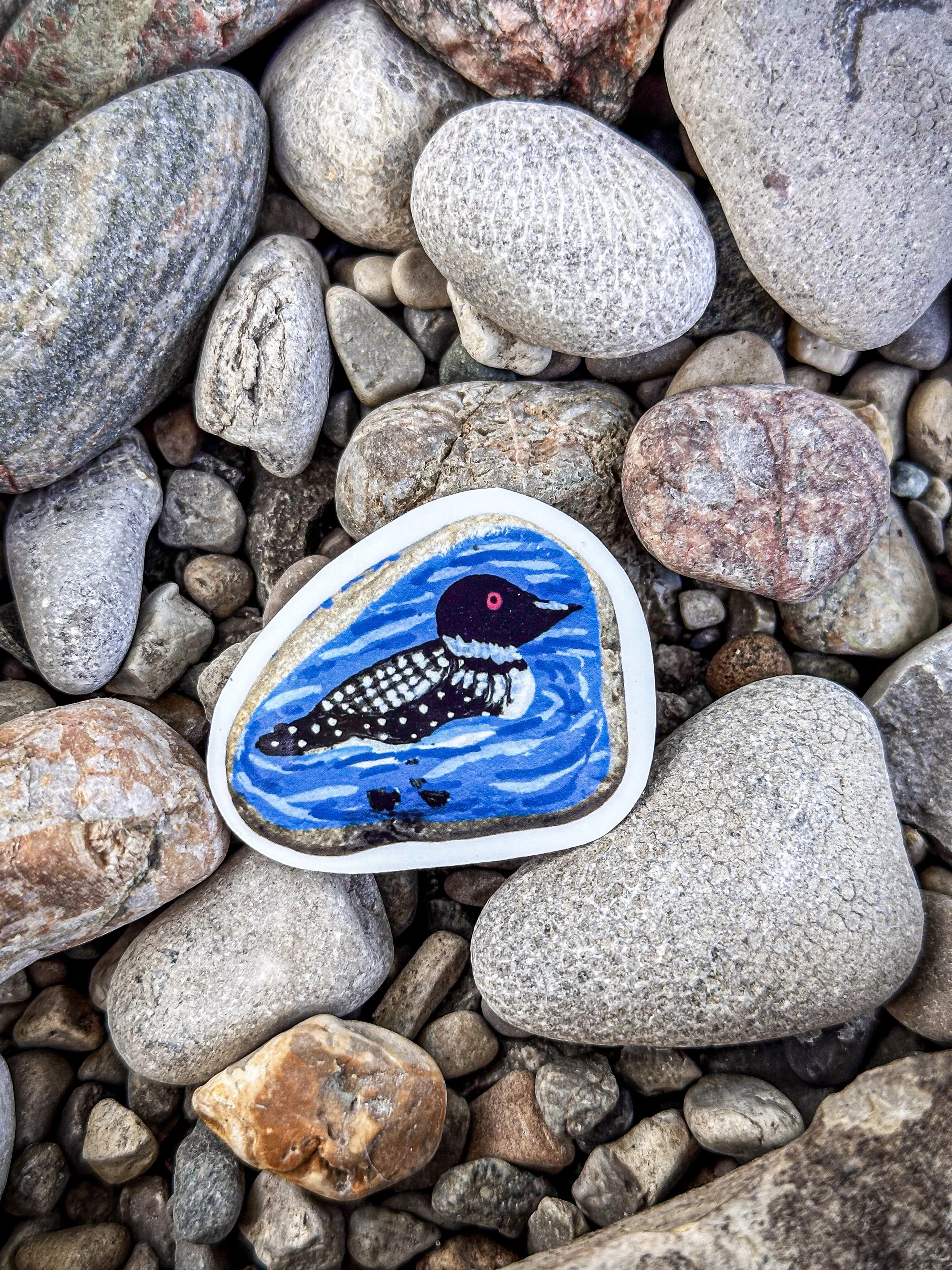 Med Loon Rock Sticker 2.jpg