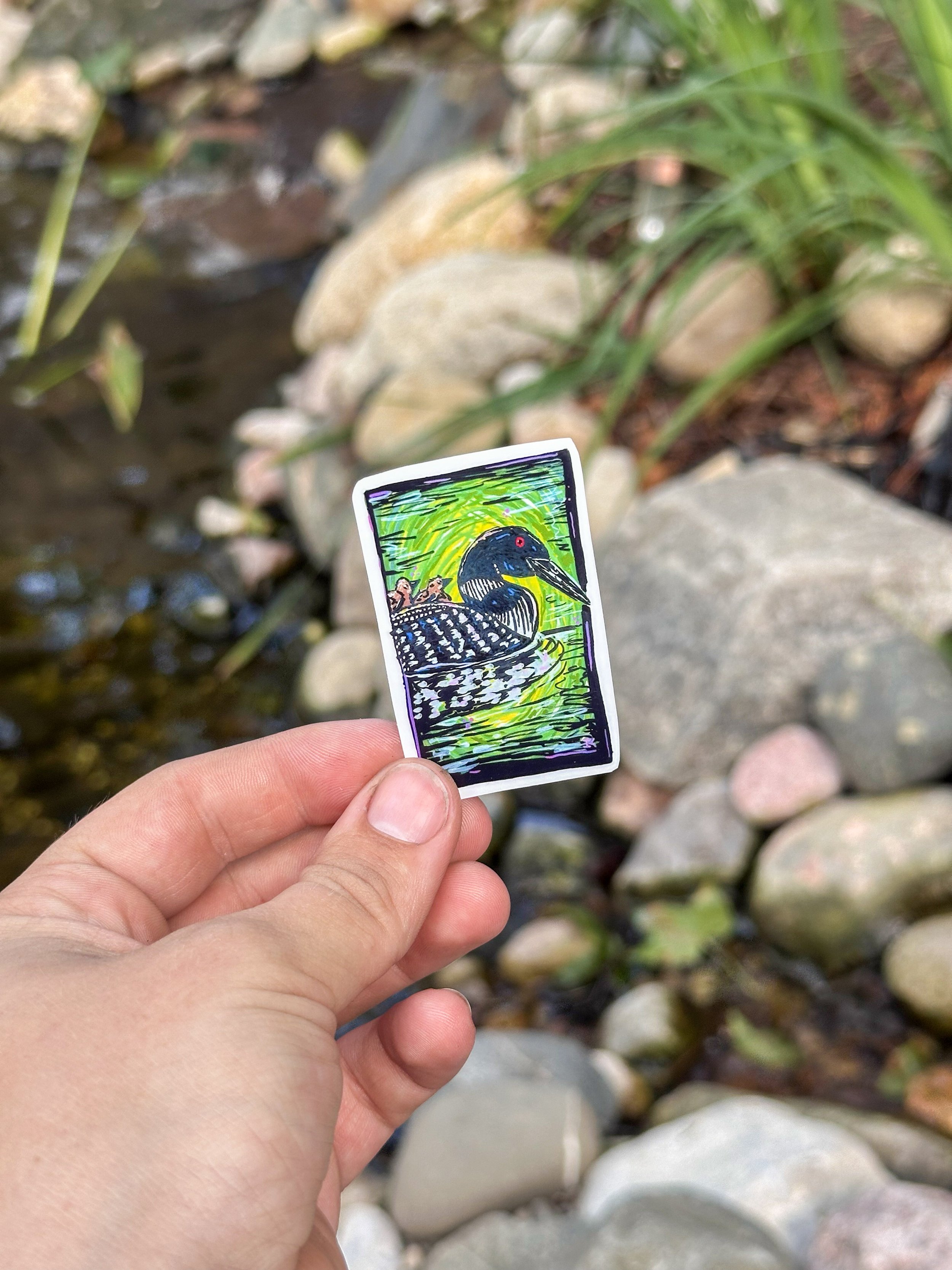 Small Loon Stickers 4.jpg