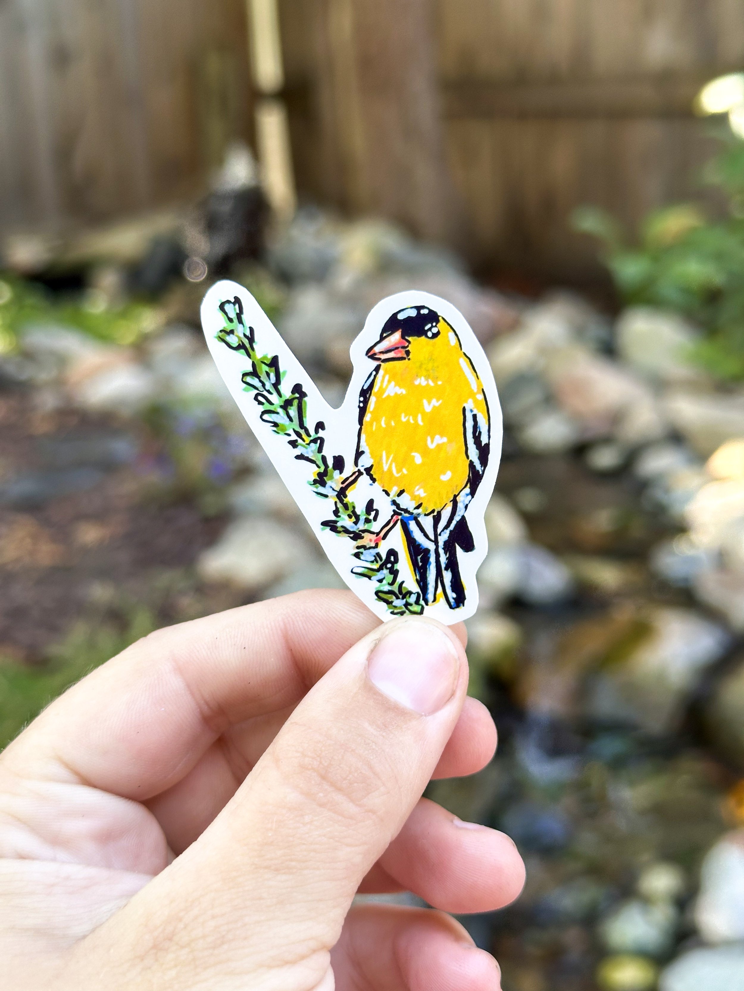 American Goldfinch Sticker