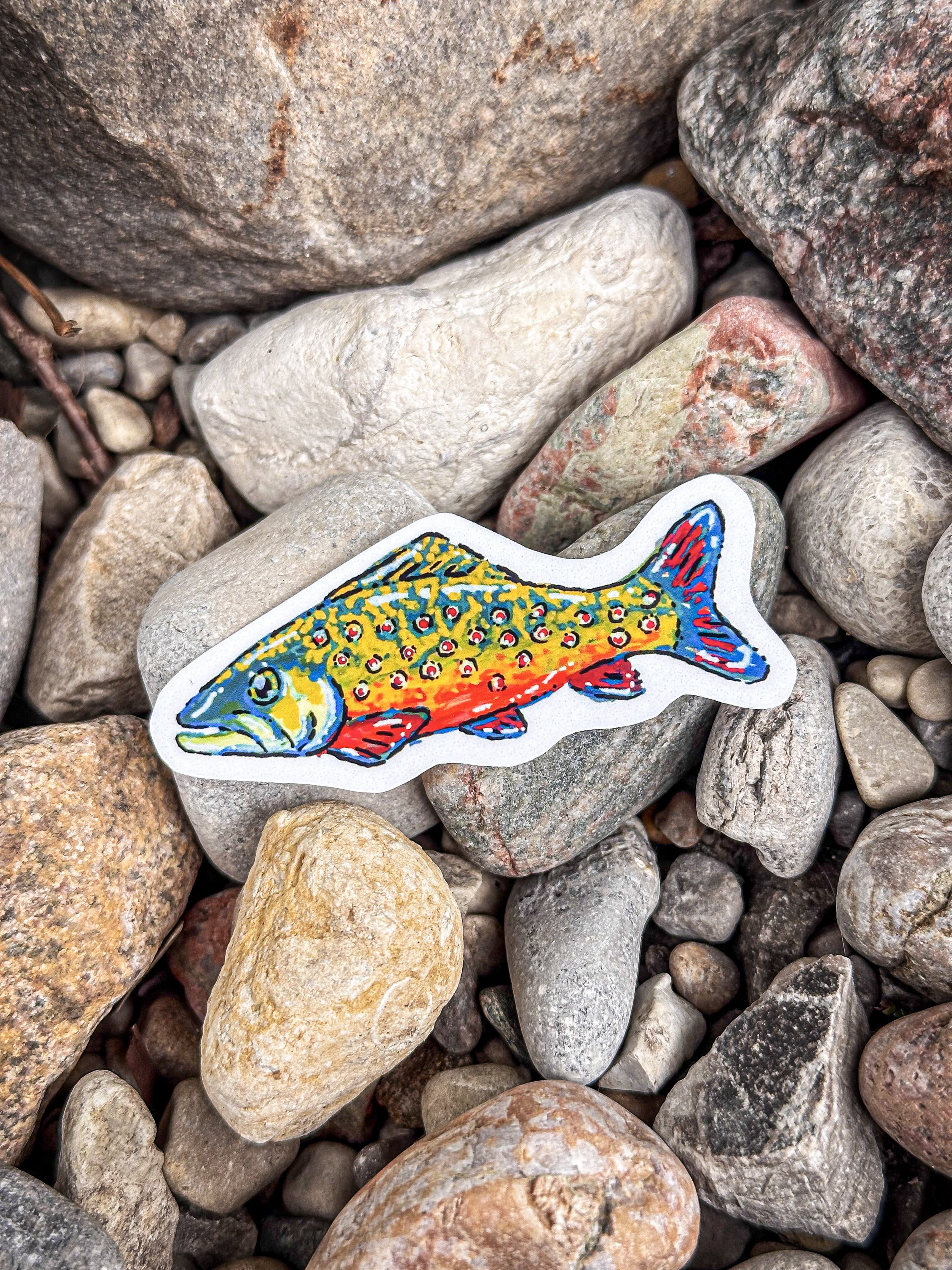 Med Rainbow Trout Sticker  2.jpg