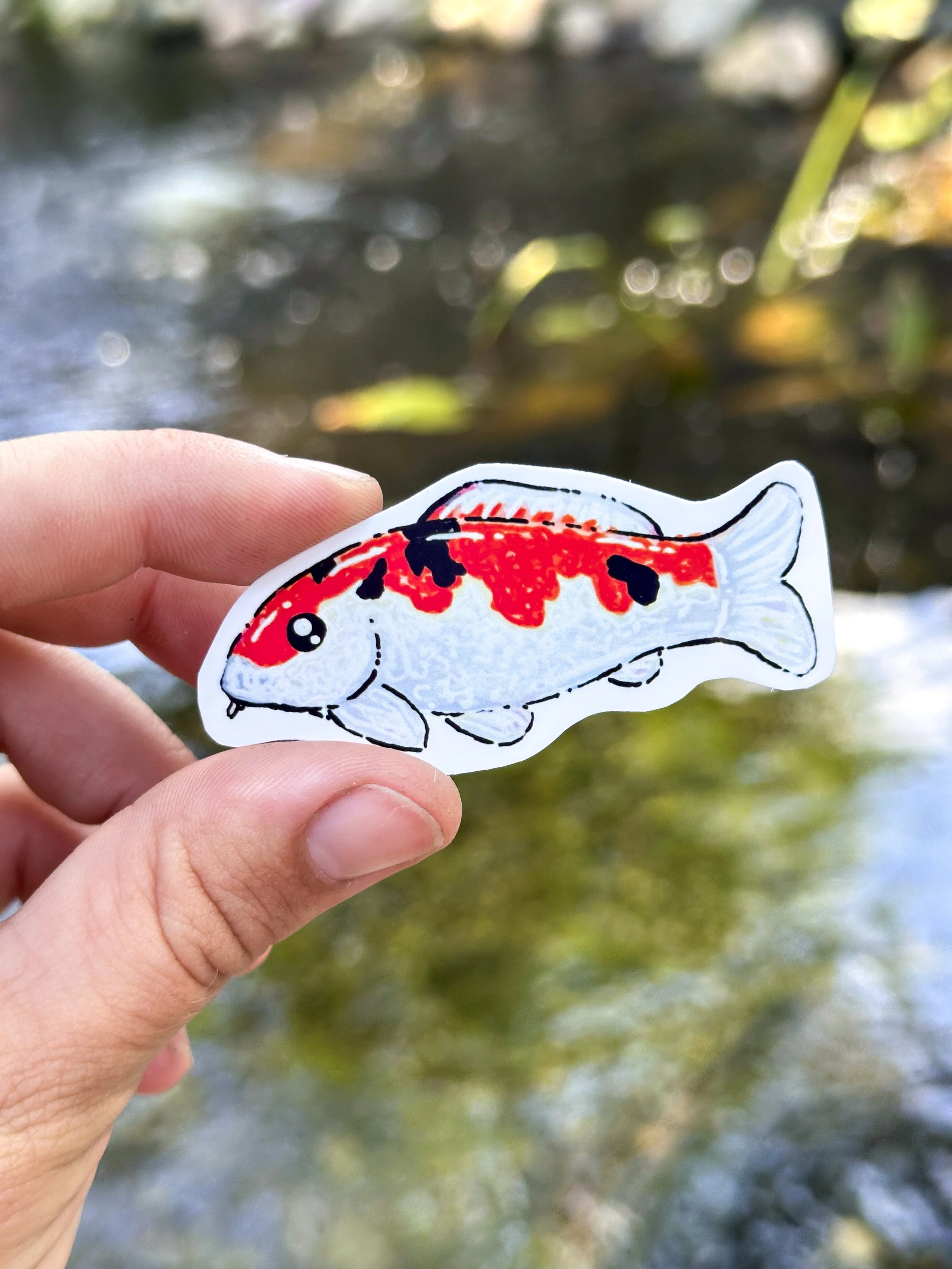 Med Koi Fish Sticker 6.jpg