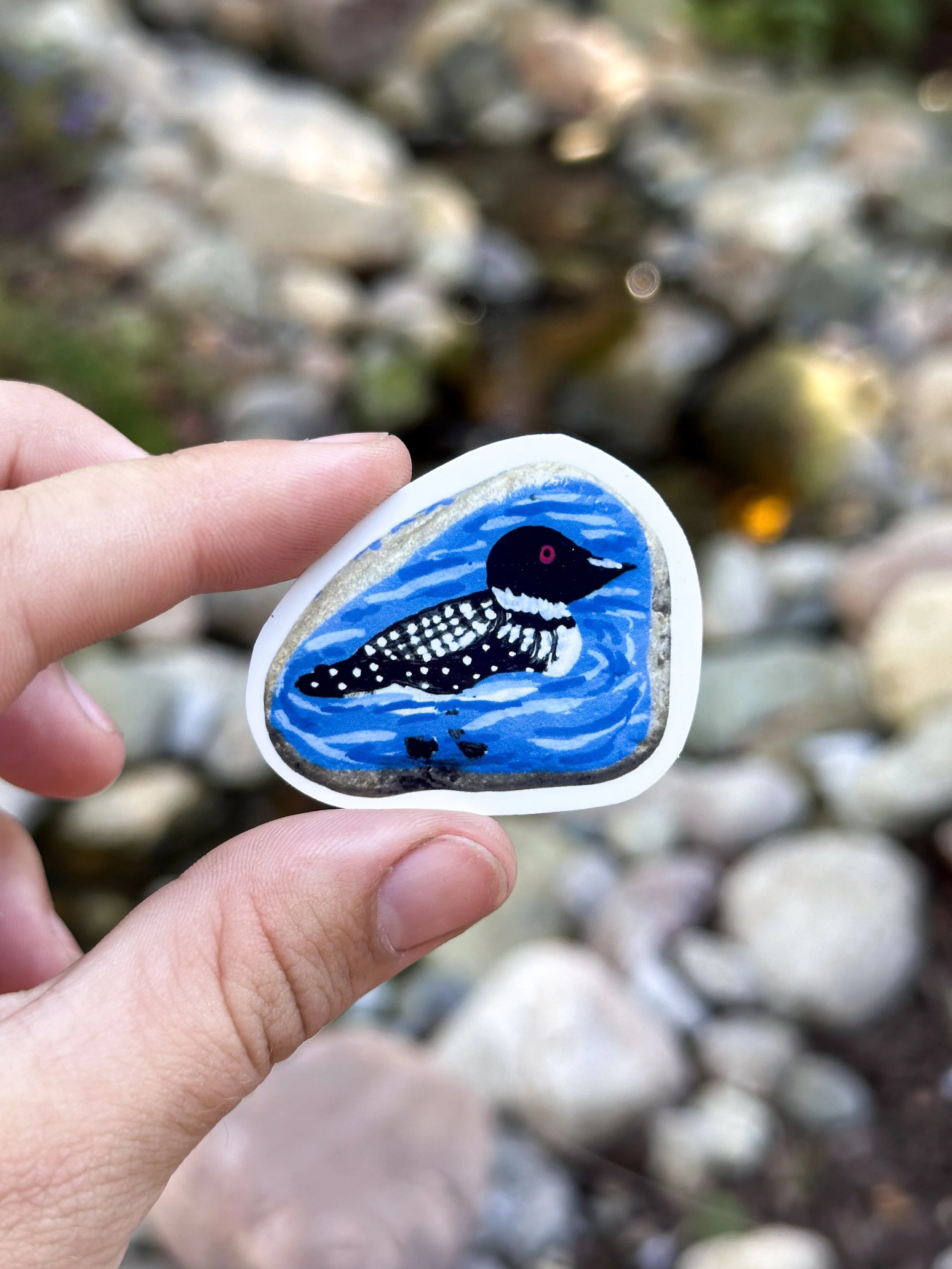 Med Loon Rock Sticker 1.jpg