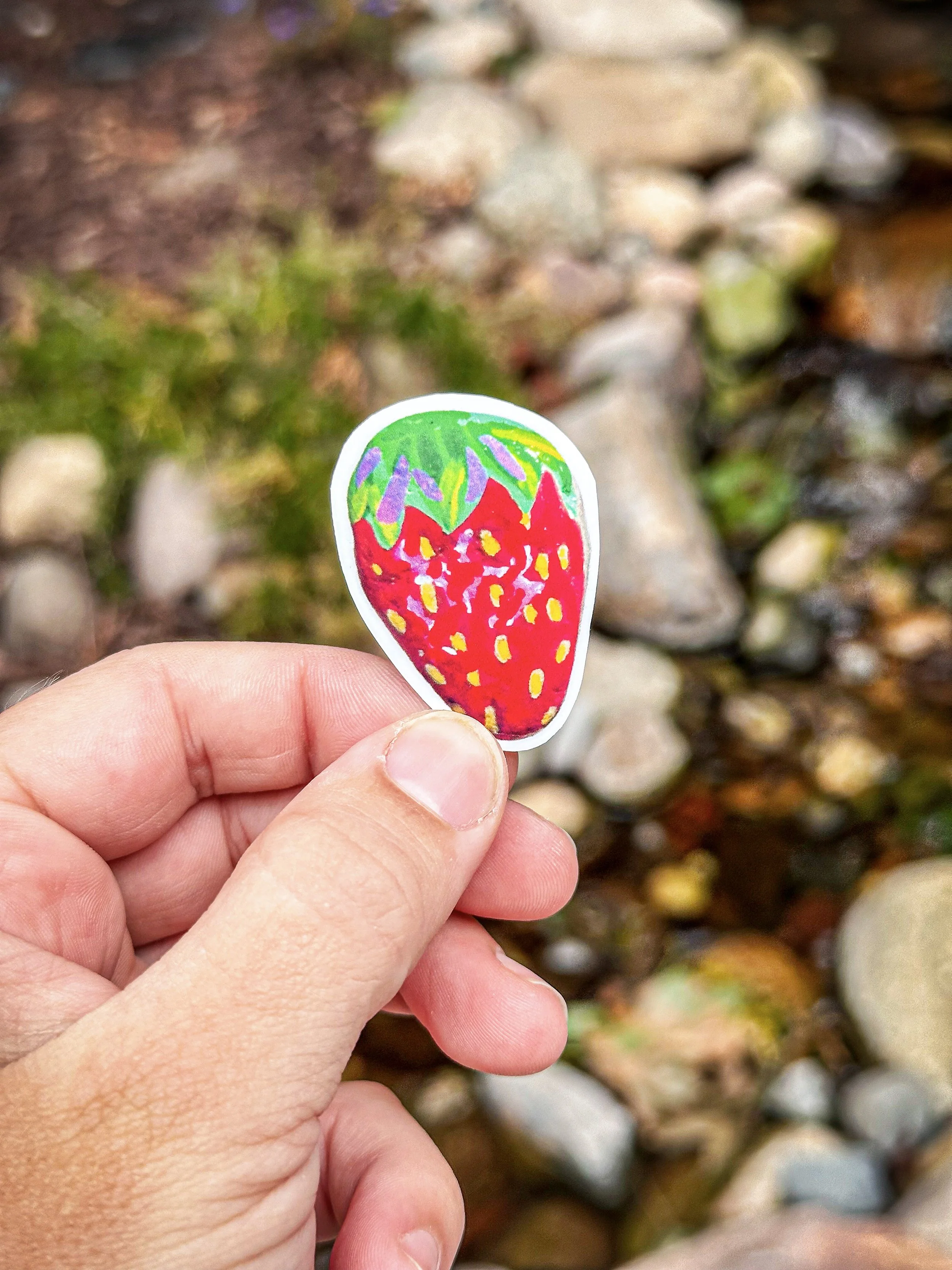 Med Strawberry Rocks Sticker  8.jpg