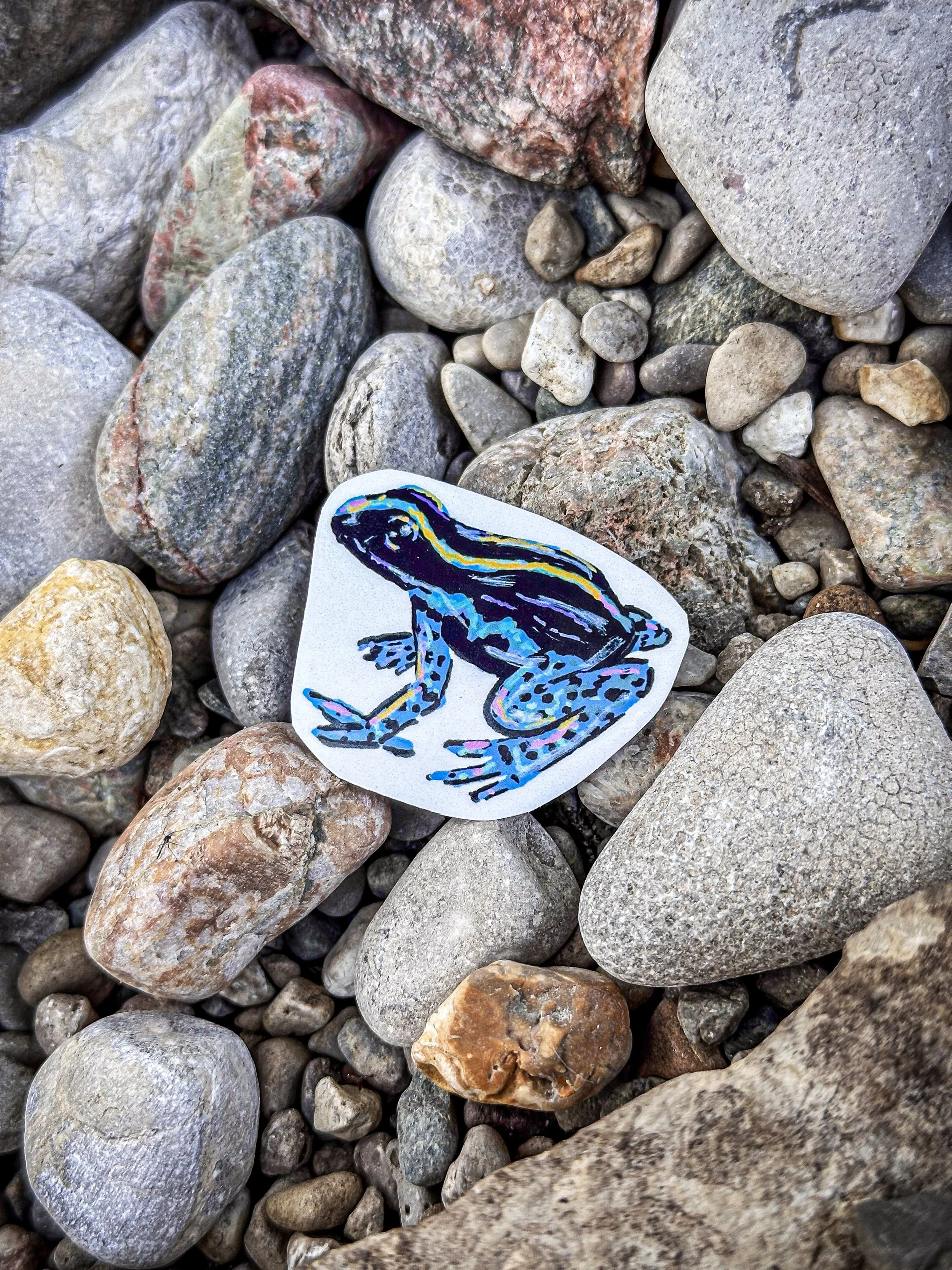 Med Blue Dart Frog Sticker 2.jpg