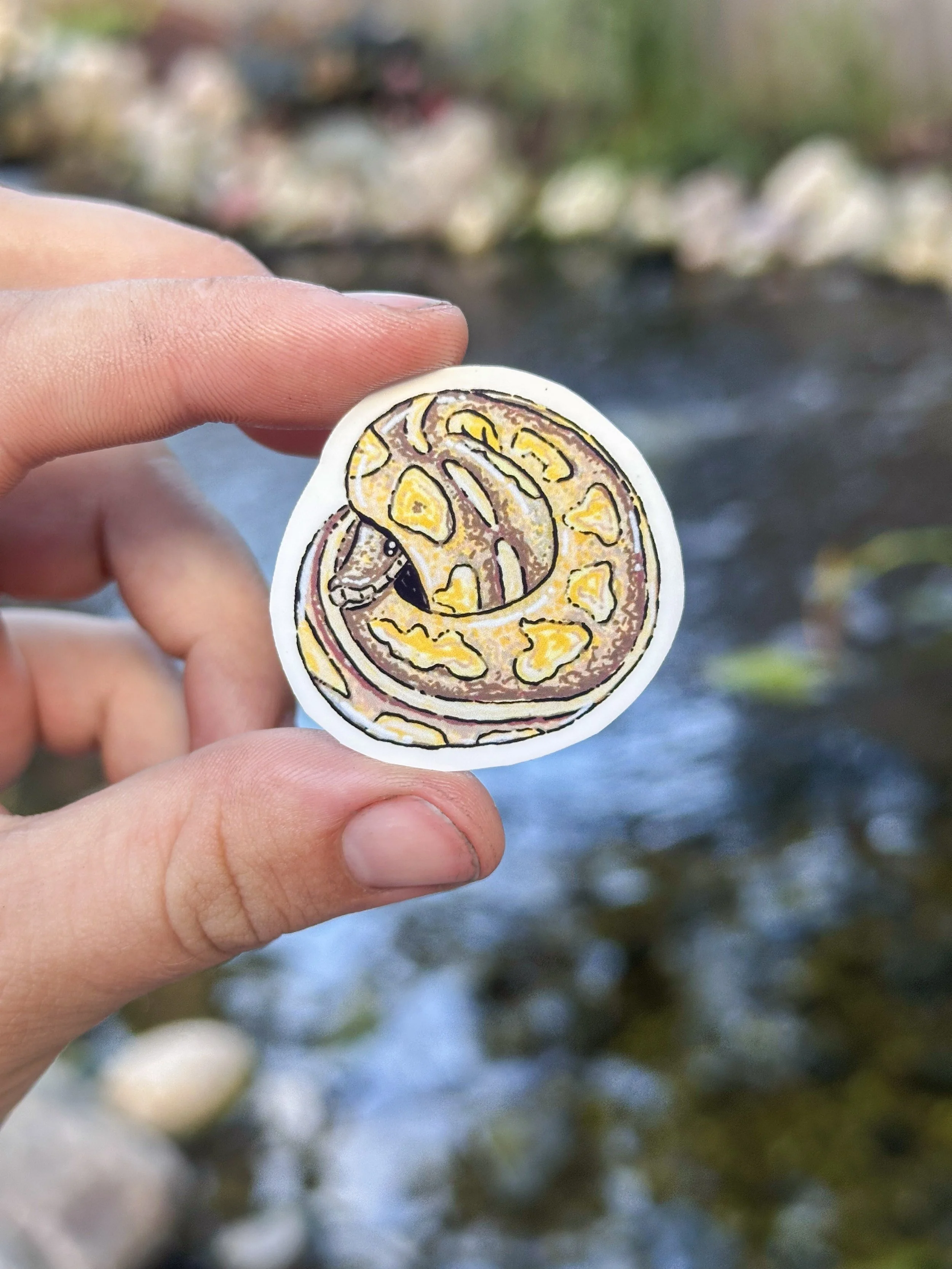 Small Ball Python Stickers 2.jpg