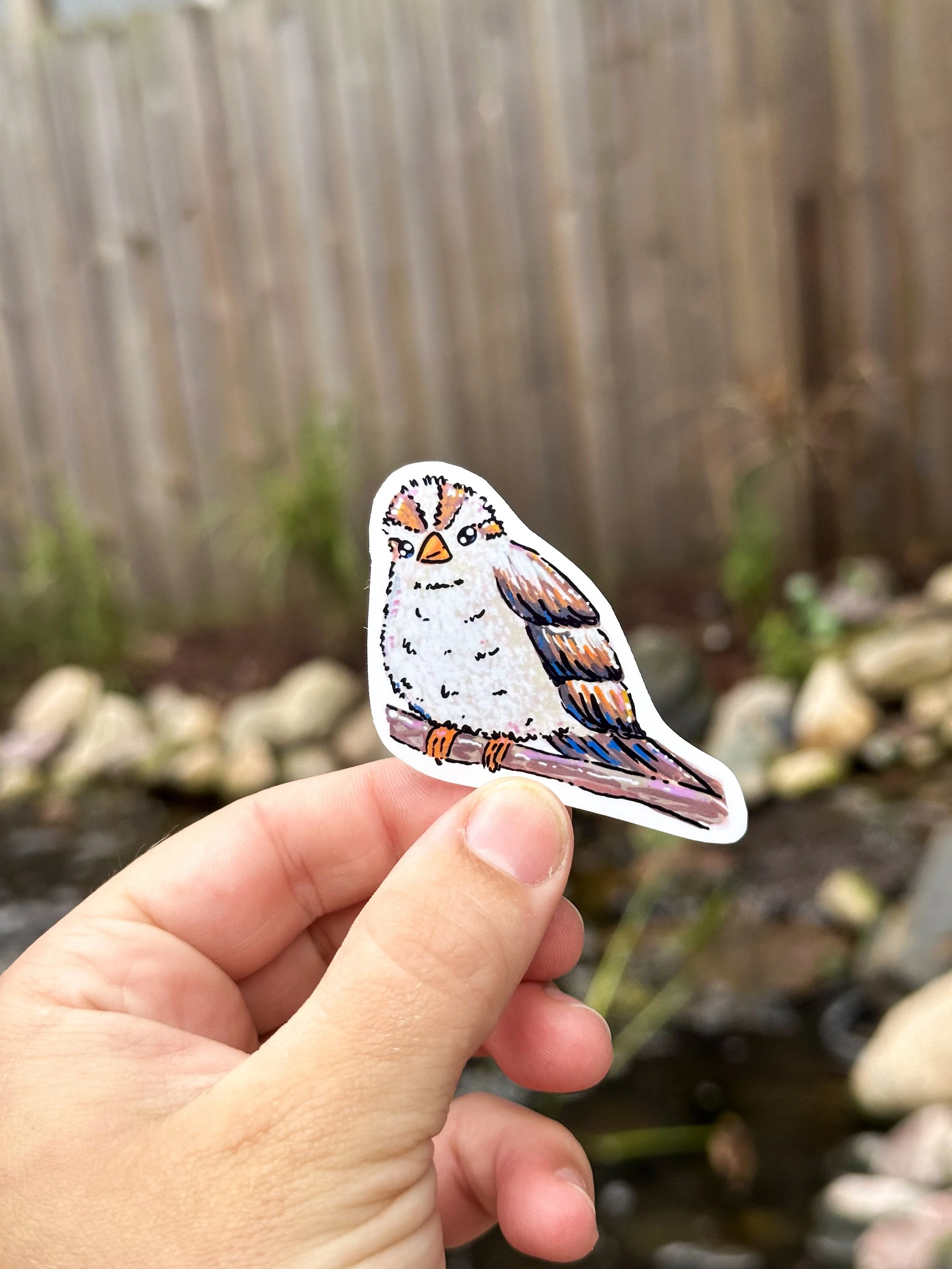 Med Field Sparrow Sticker  2.jpg