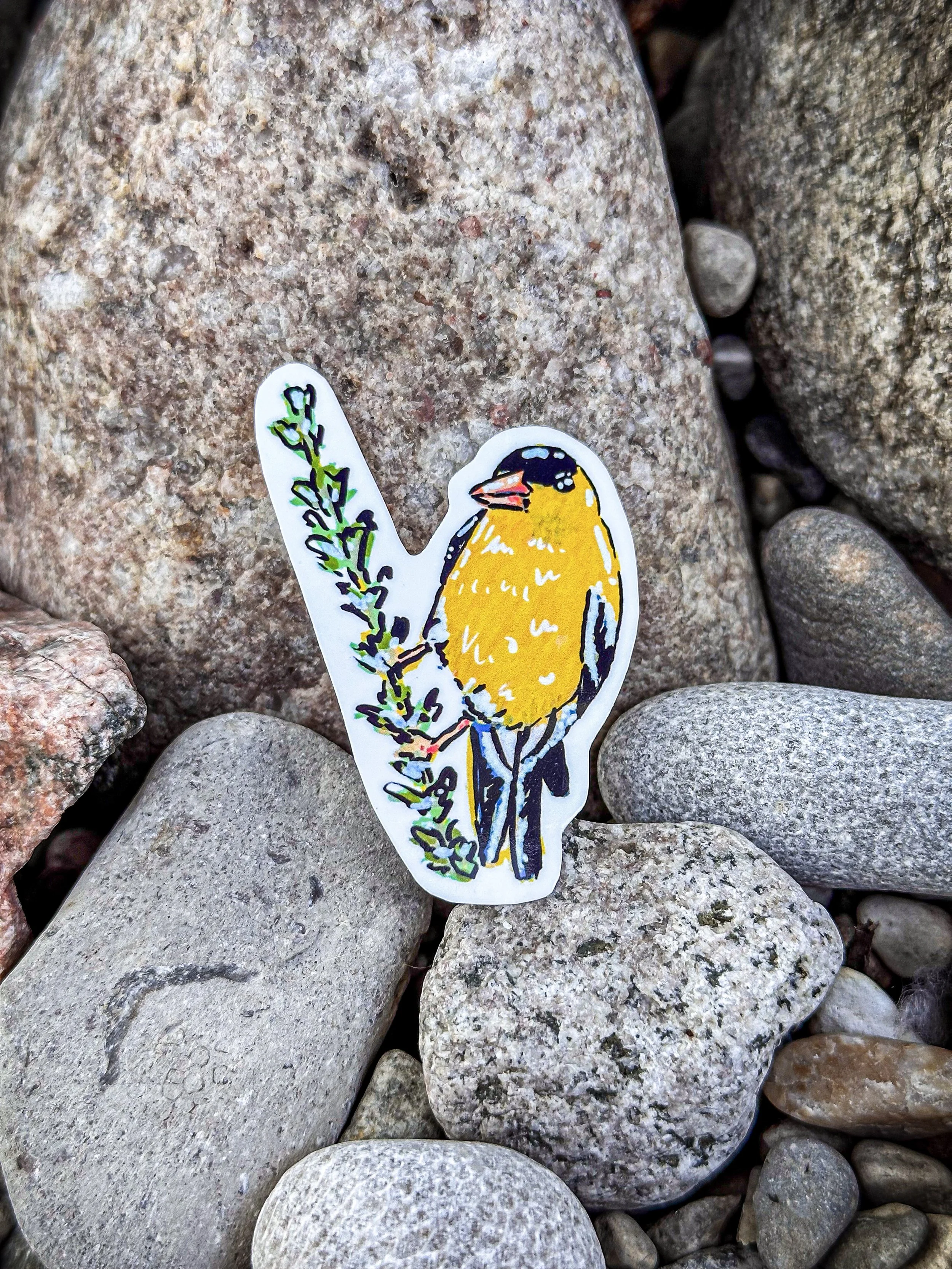 Med American Finch Sticker 2.jpg