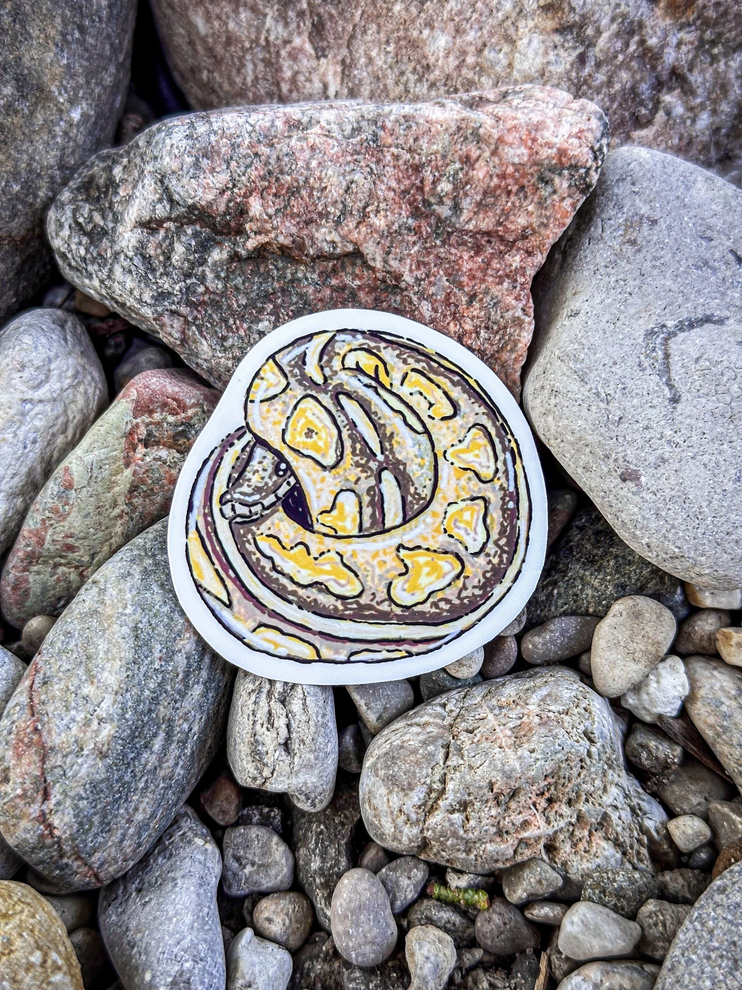 Med Ball Python Sticker 2.jpg