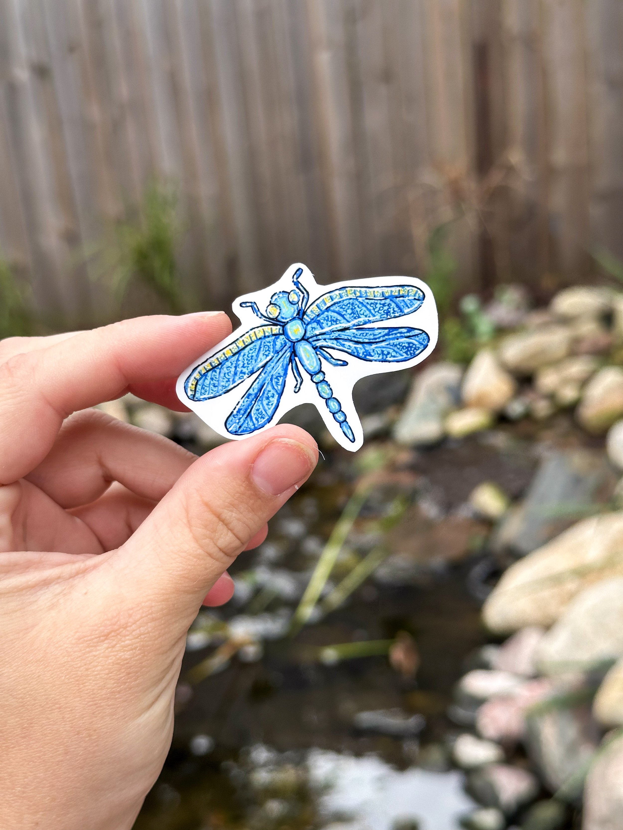Med Blue Dragonfly Sticker  1.jpg