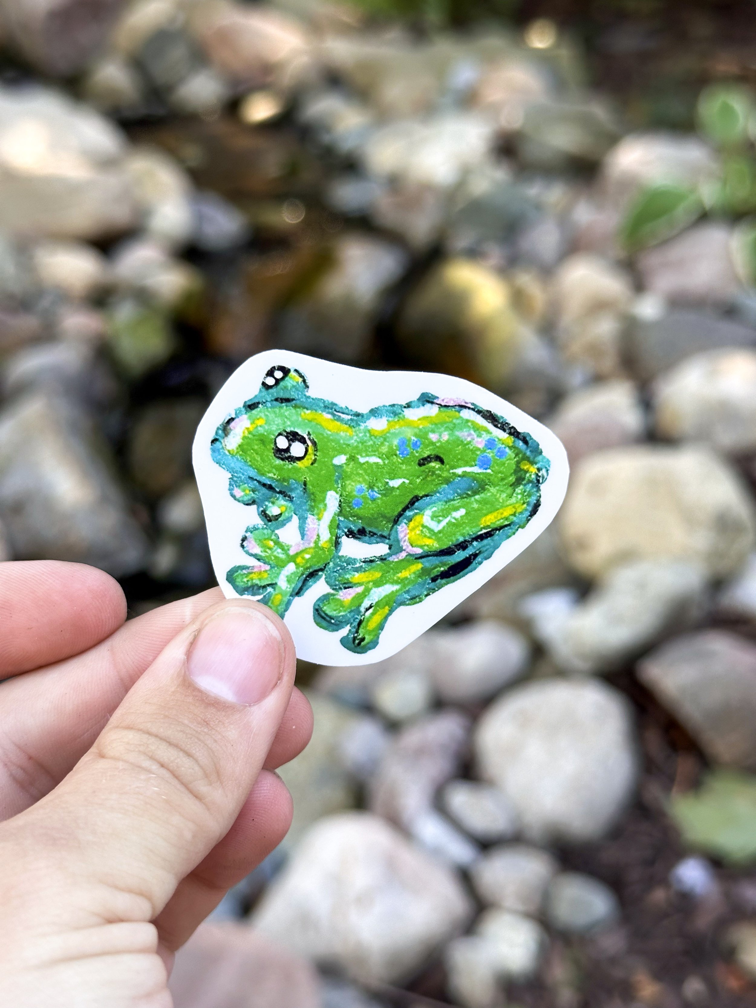Med Tree Frog Sticker 1.jpg