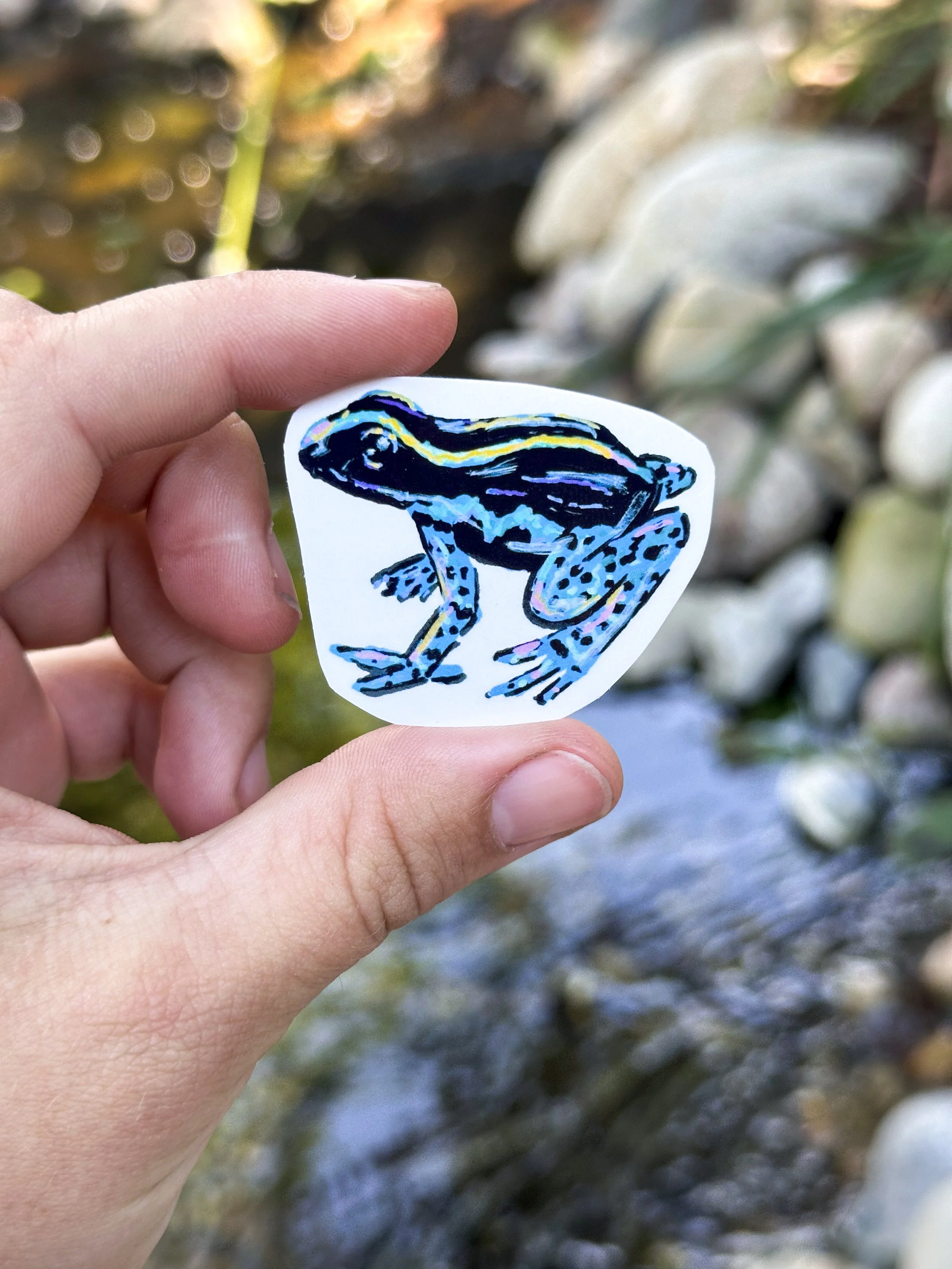 Dart Frog Sticker