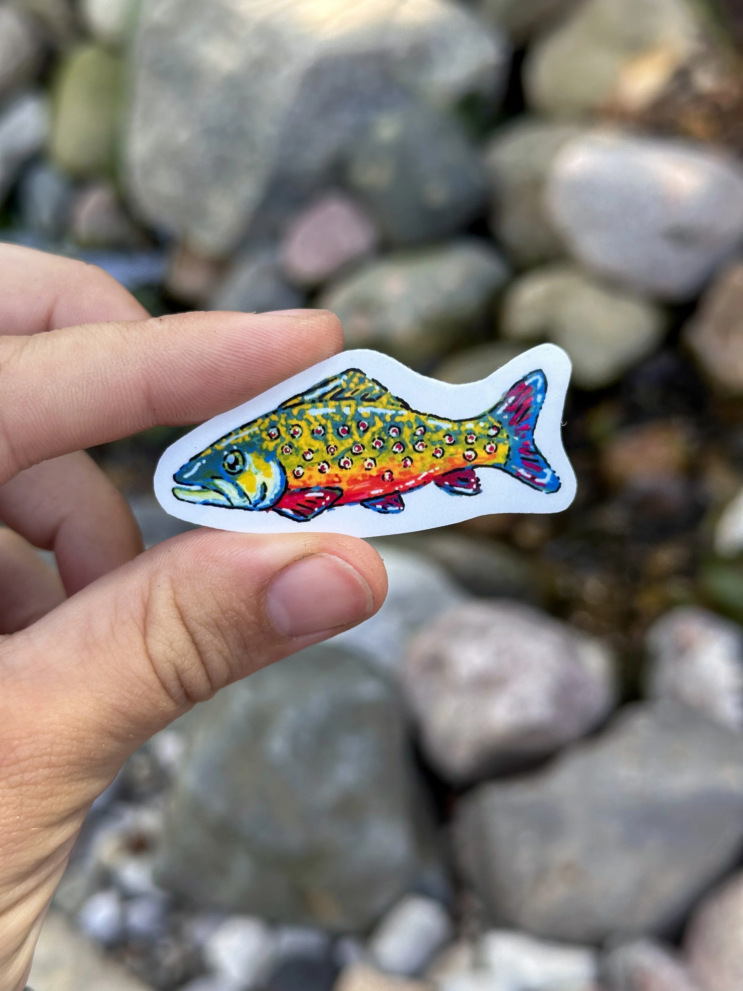 Small Rainbow Trout Stickers 1.jpg