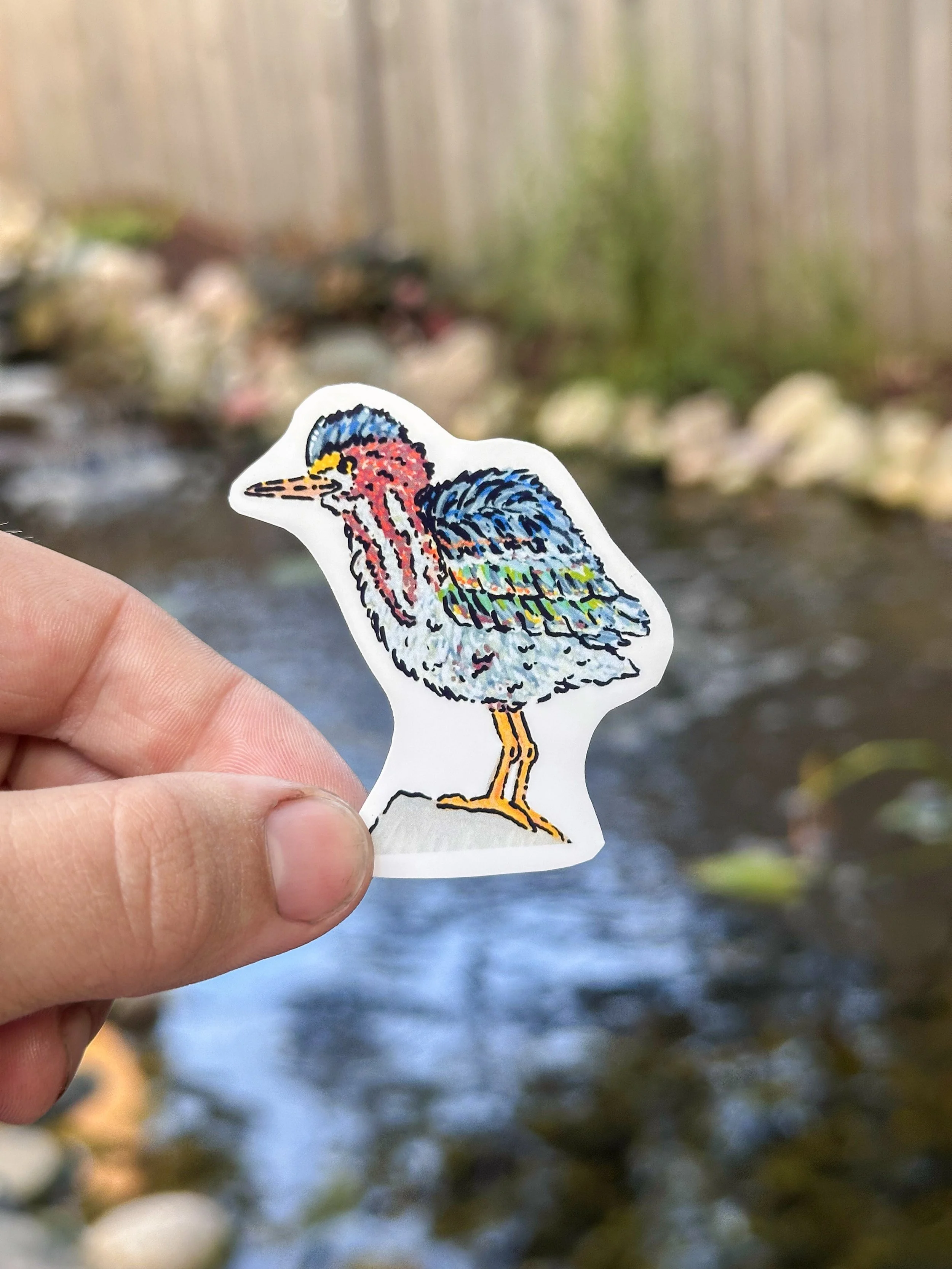 Small Green Heron Stickers 1.jpg