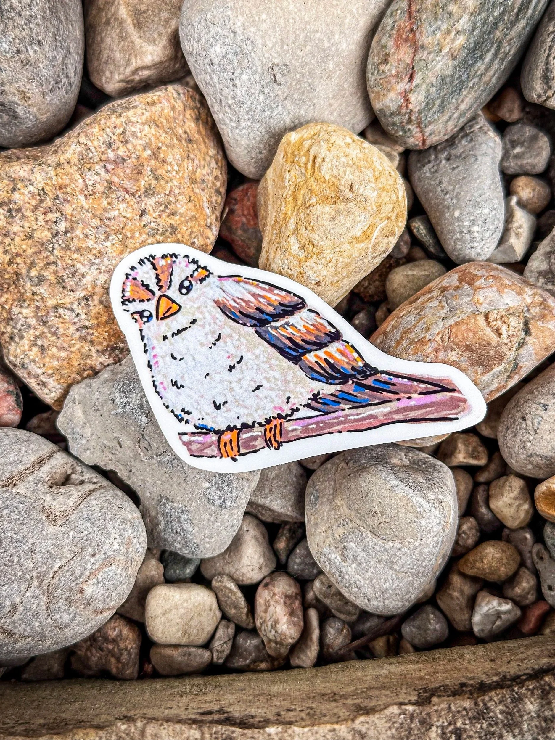 Med+Field+Sparrow+Sticker++1.jpg