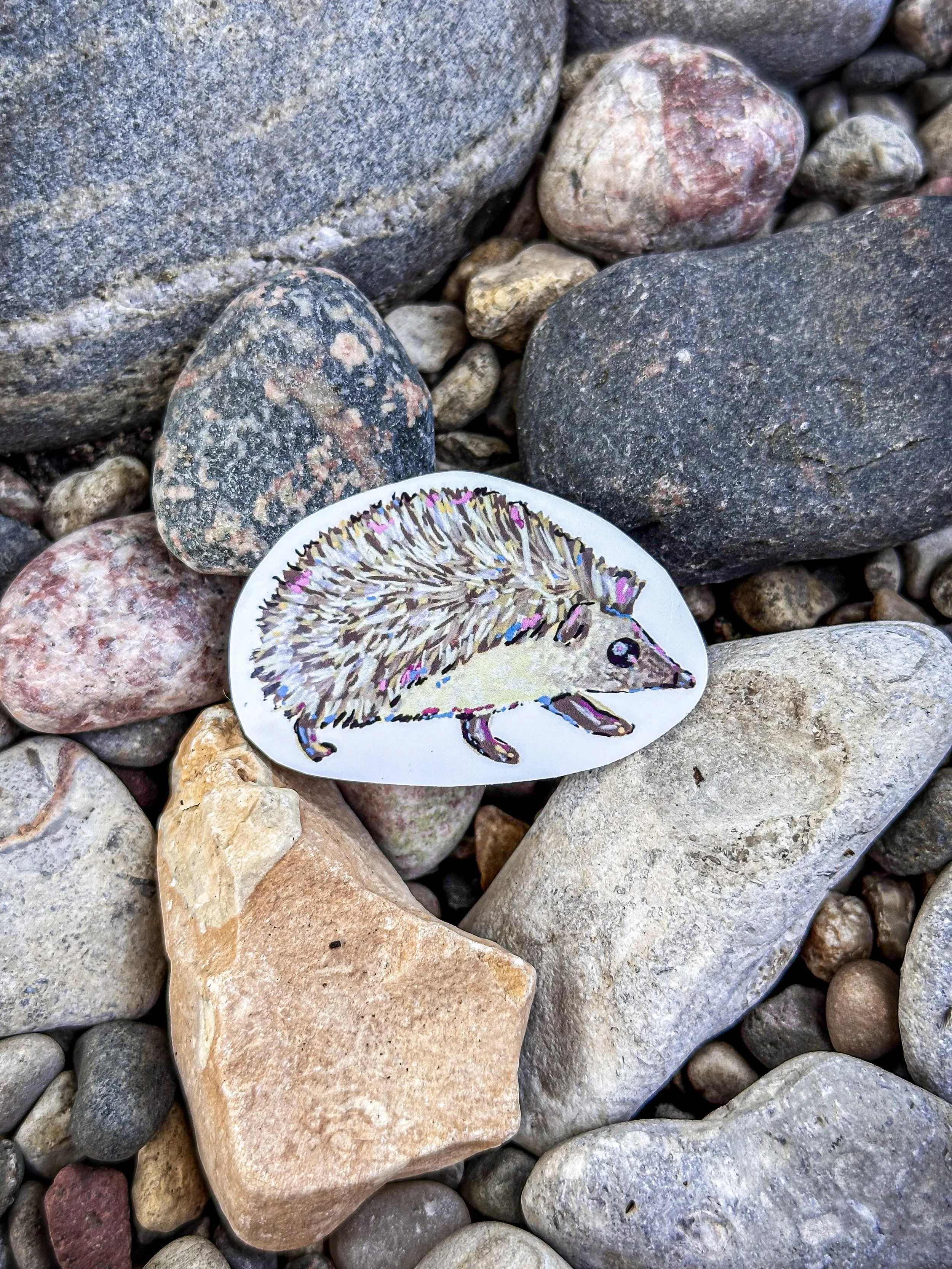 Med Hedgehog Sticker 2.jpg