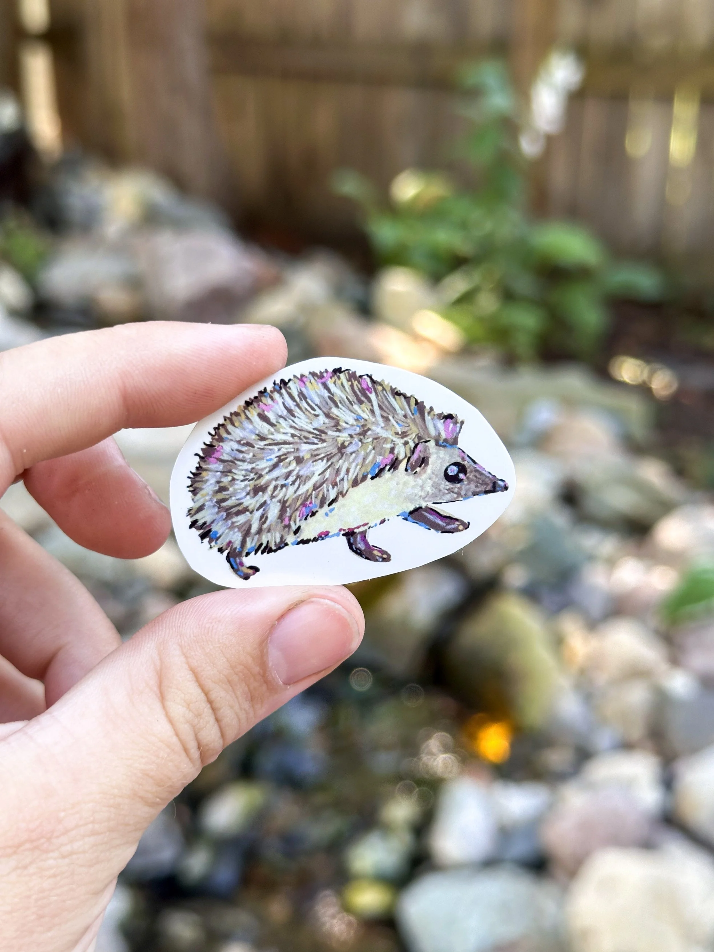 Med Hedgehog Sticker 1.jpg