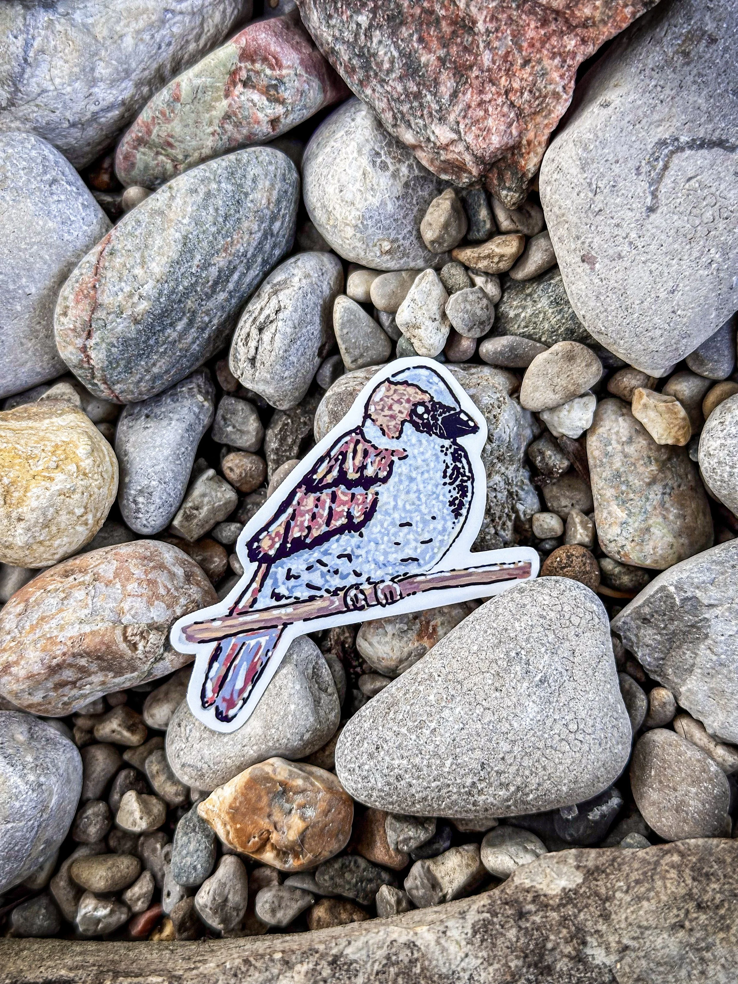 Med House Sparrow Sticker 2.jpg