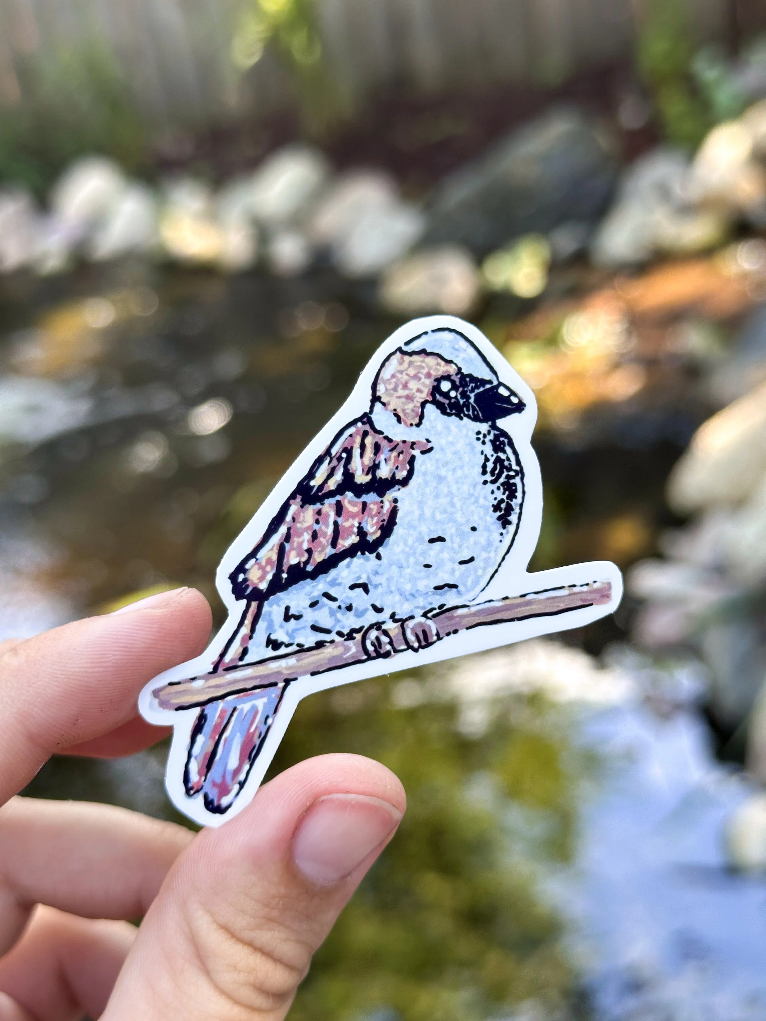 House Sparrow Sticker