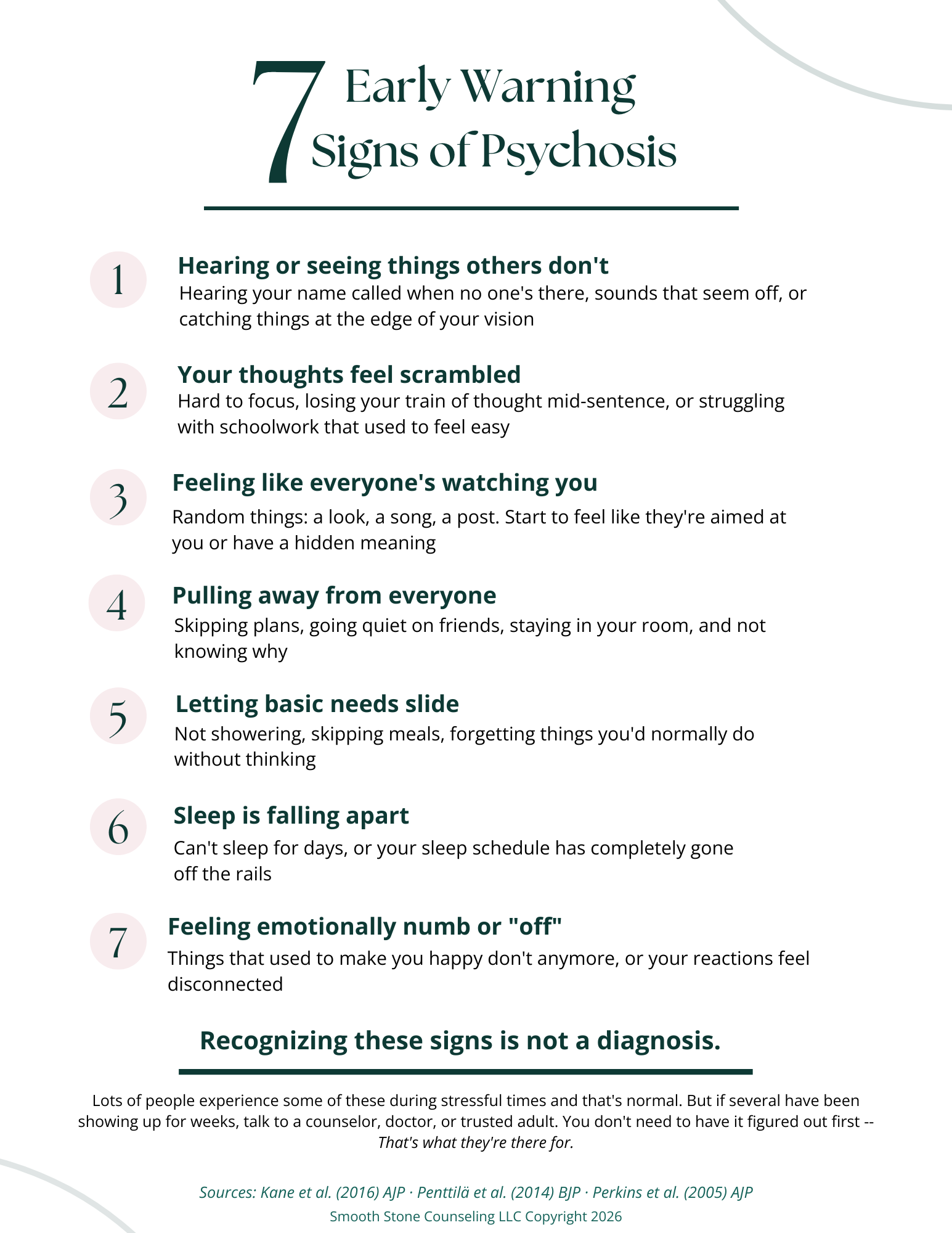 Psychosis in Young Adults: Early Warning Signs — Smooth Stone Counseling