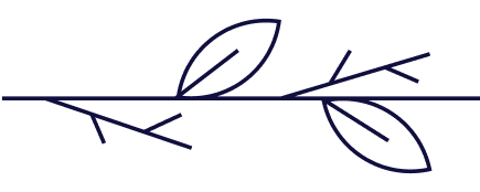 Simple black line drawing of a plant with a branch and three leaves.