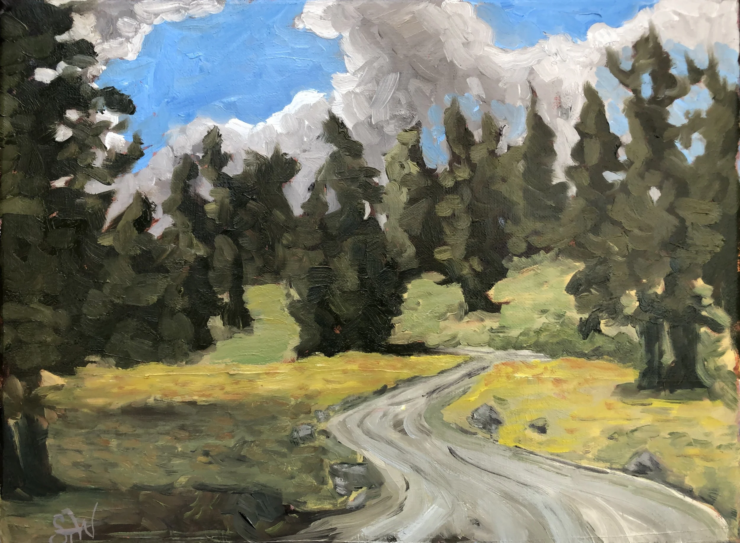 Mountain Road, 2025. Oil on canvas - 16" x 12" $425.00