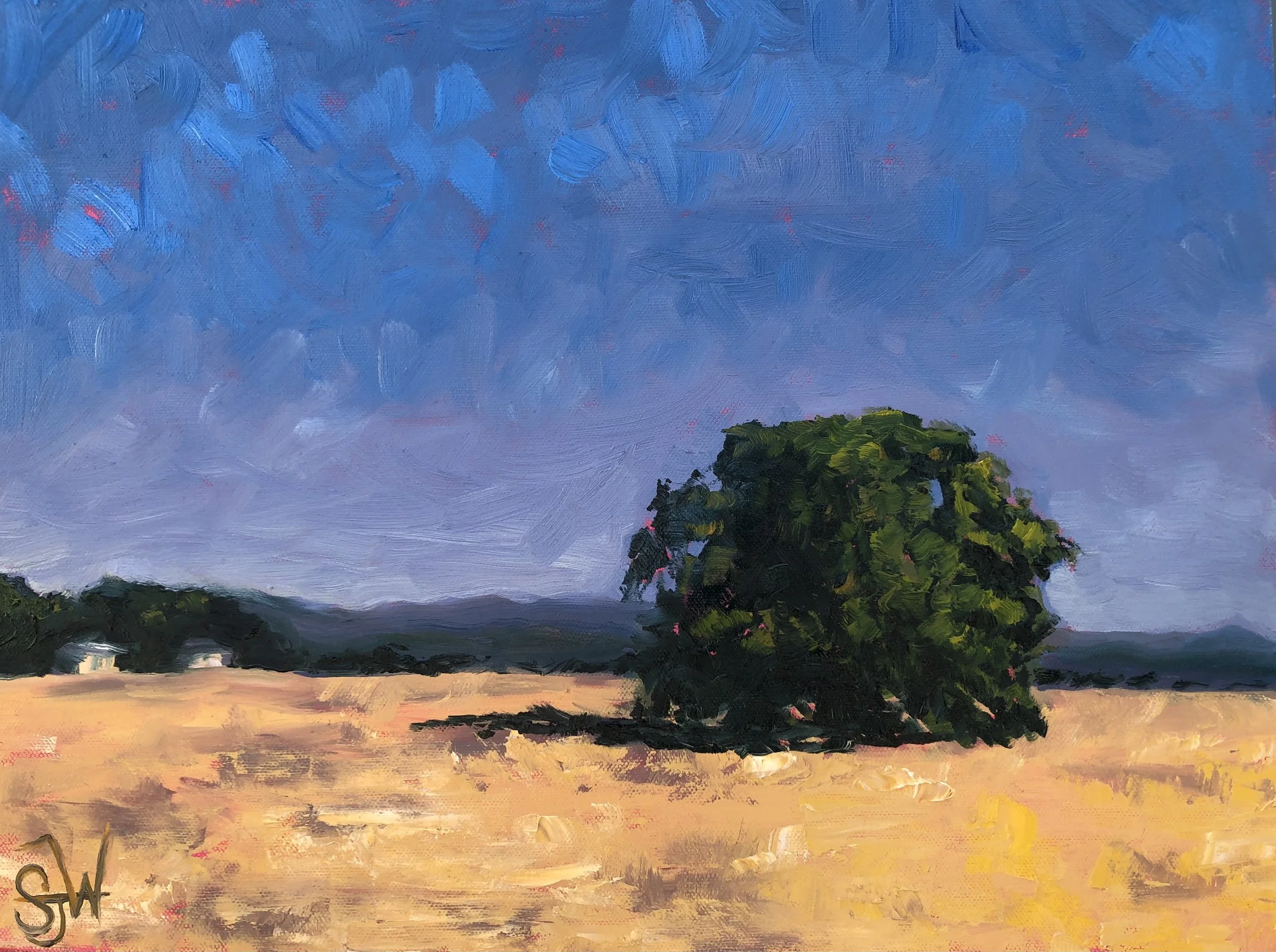 Oak in the Meadow, 2025. Oil on canvas - 16" x 12" $450.00