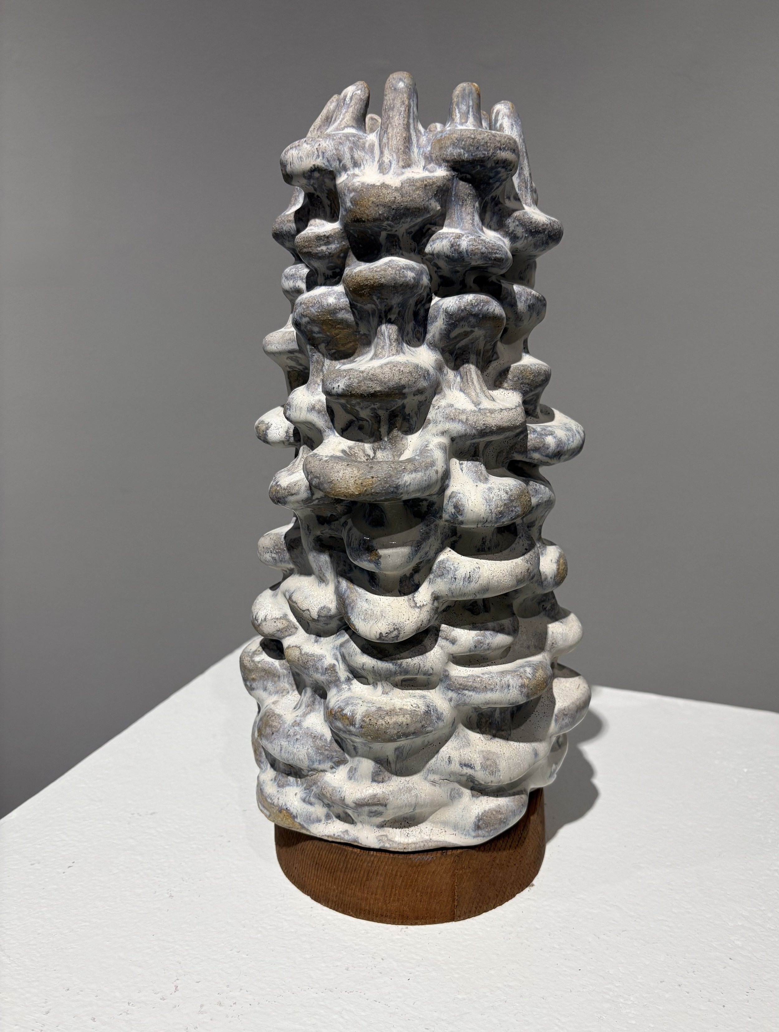 Subtleties, clay and wood, 2025