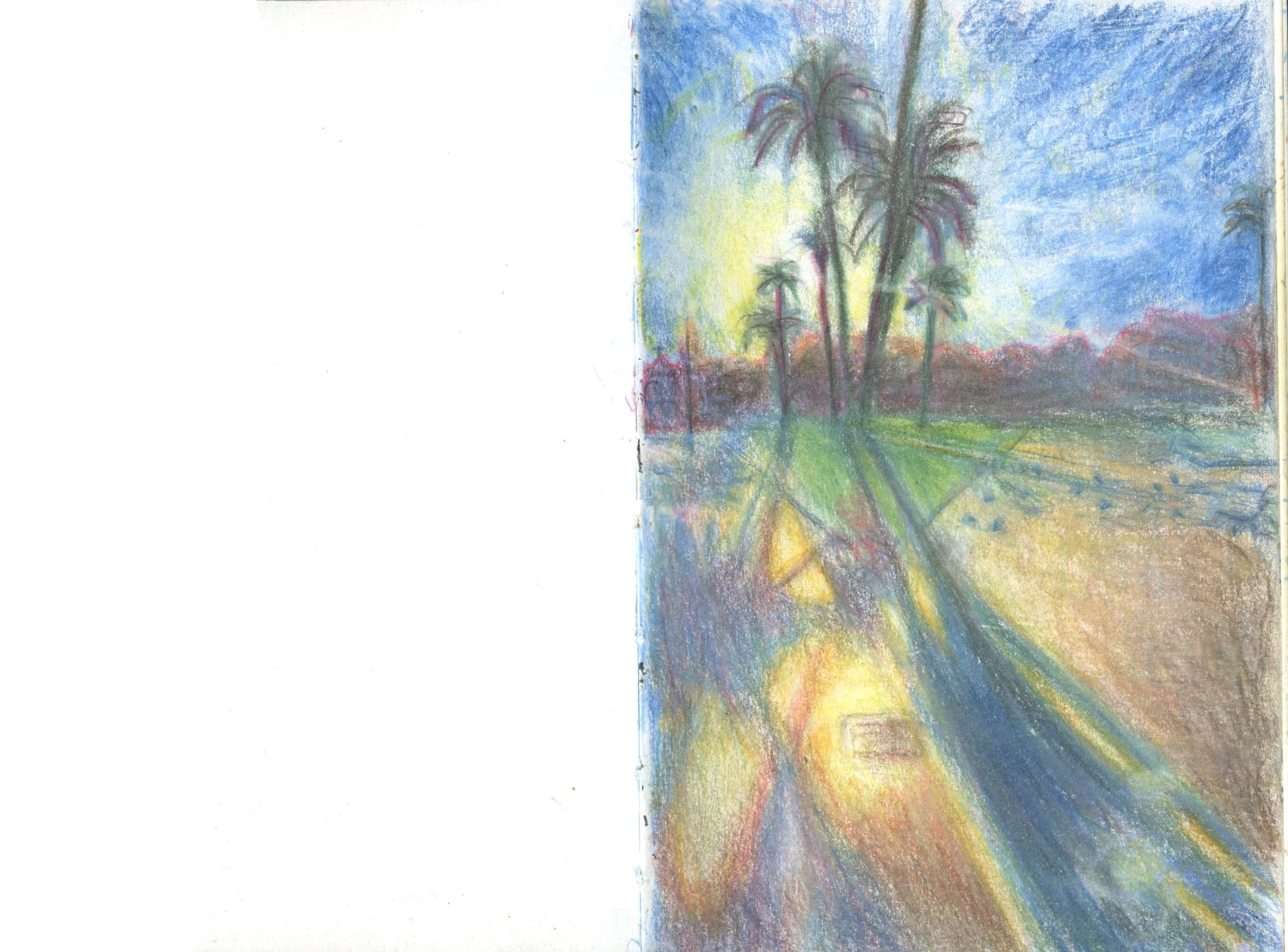 palm tree_1.jpg